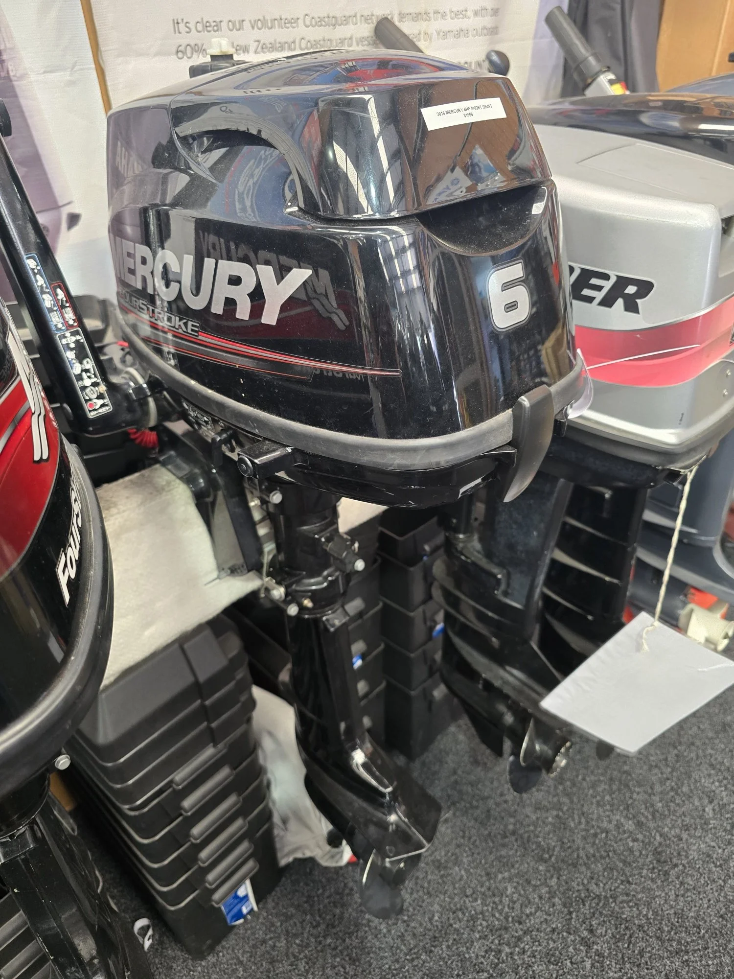 6hp 4 stroke.jpg