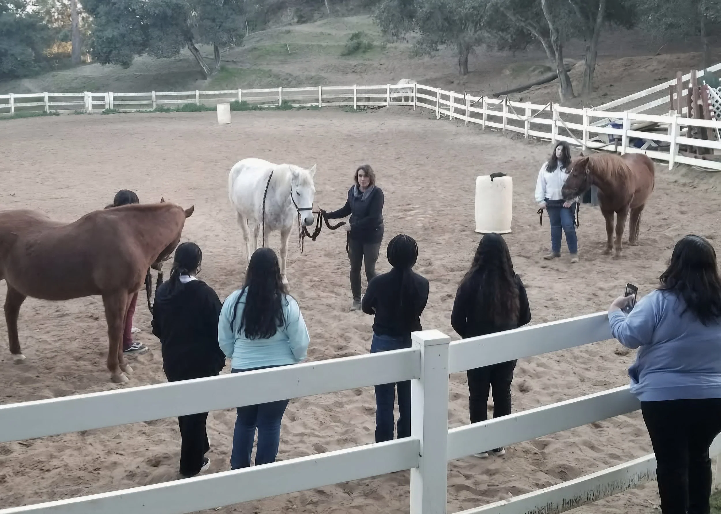 equistrian therapy .jpg