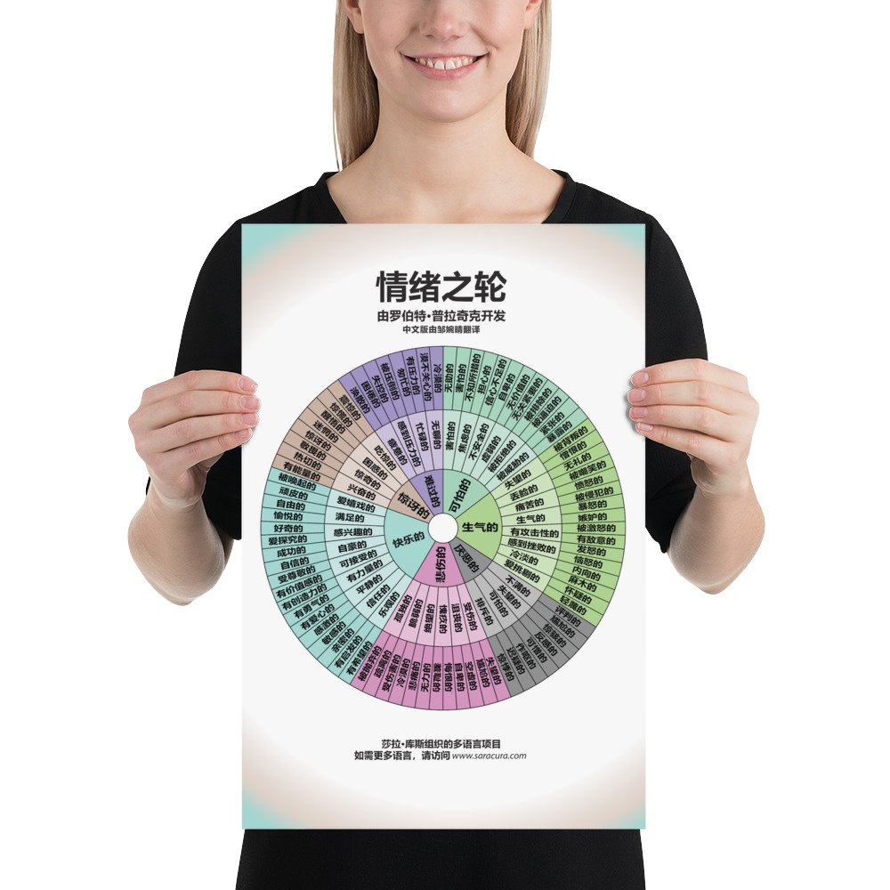 Chinese Feeling Wheel - Poster Version — Sara Cura Spirit