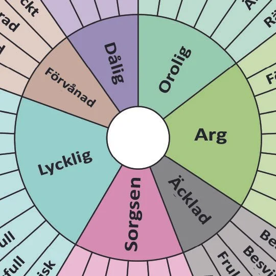 feelings wheel swedis blurredh.jpg