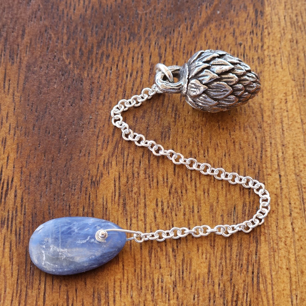 Kyanite and Pinecone 2.jpg