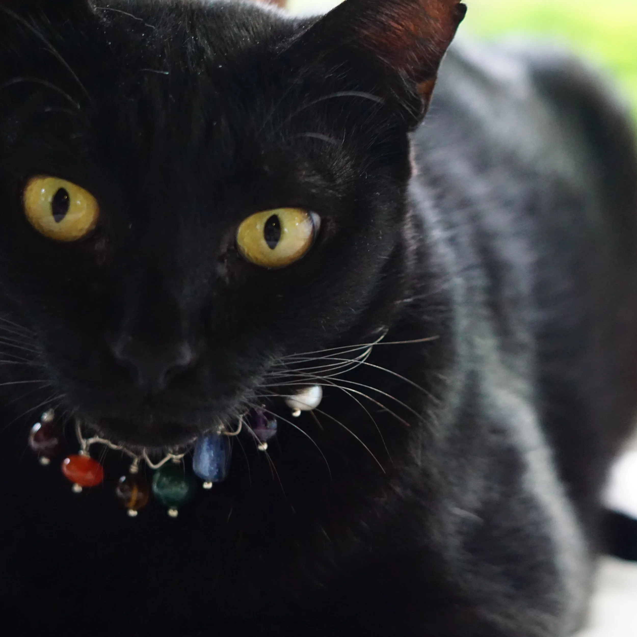 Galexico and Full Chakra Necklaces