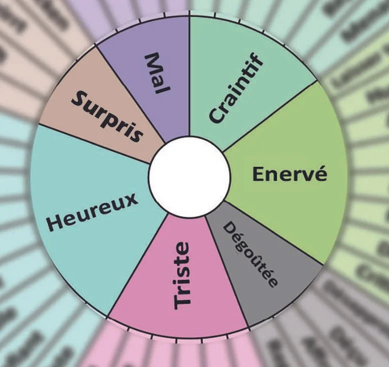 feelings wheel french blurred small.jpg