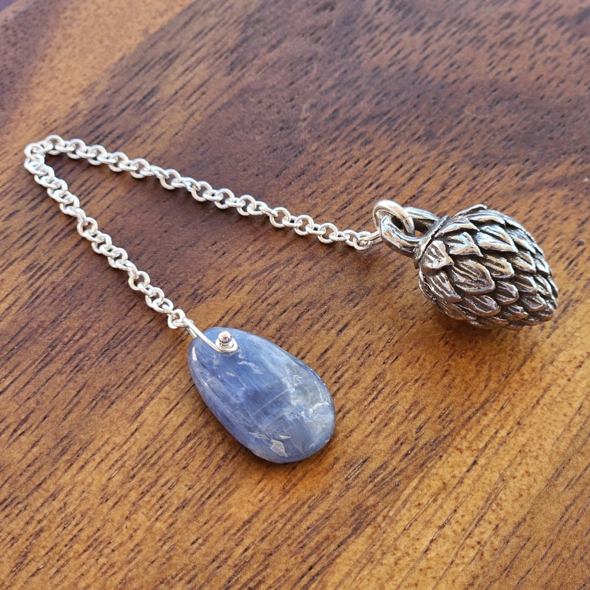 Kyanite and Pinecone 1.jpg