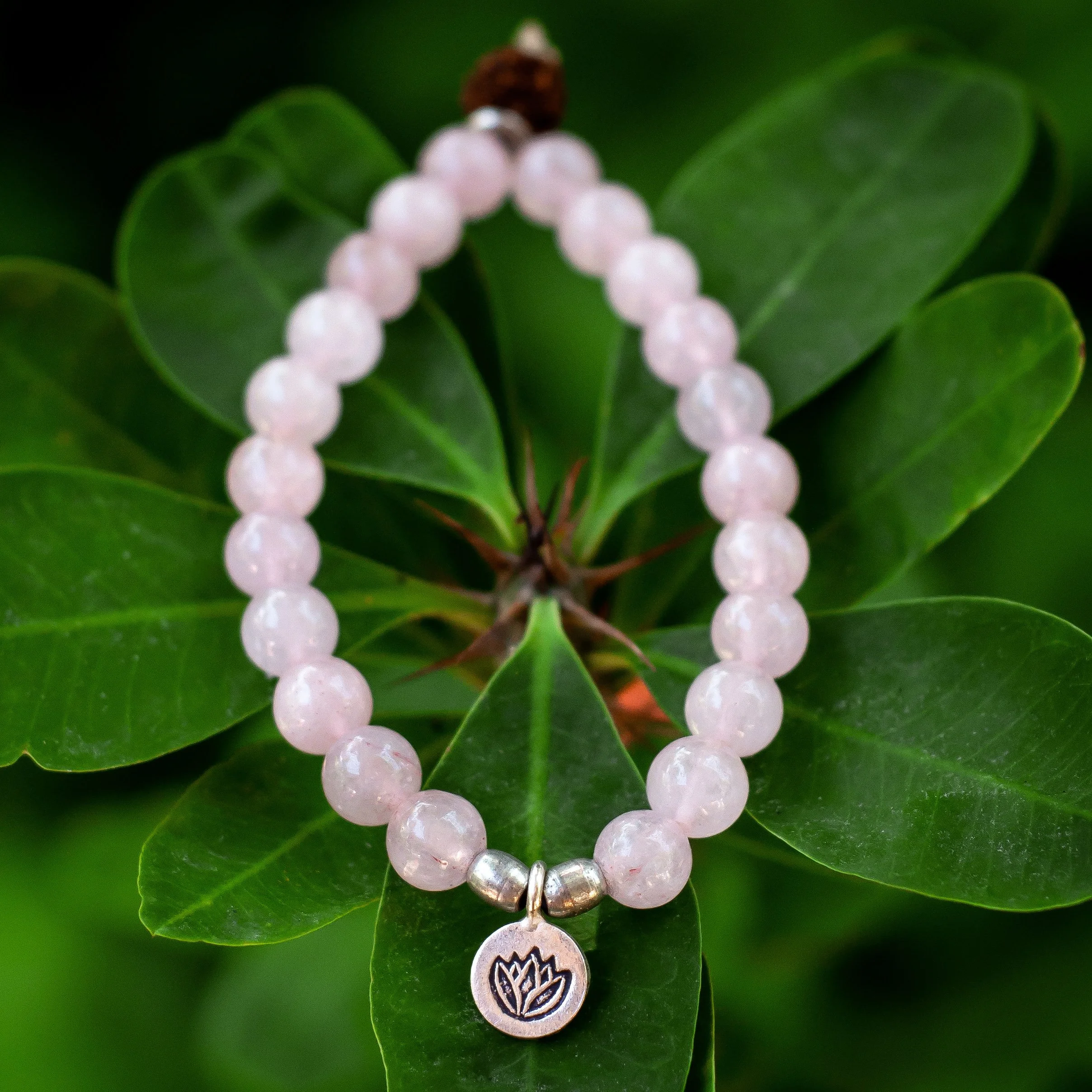 Rose Quartz and Silver Lotus Stretch Bracelet
