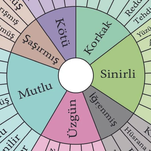 feelings wheel Turkish blurred.jpg