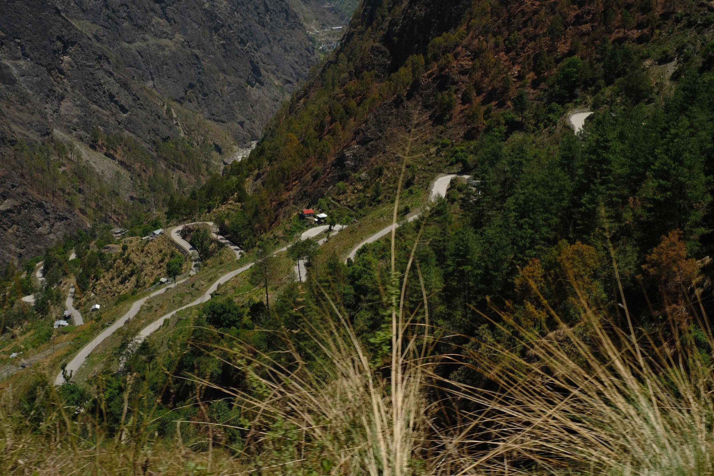 DSCF0250.JPG