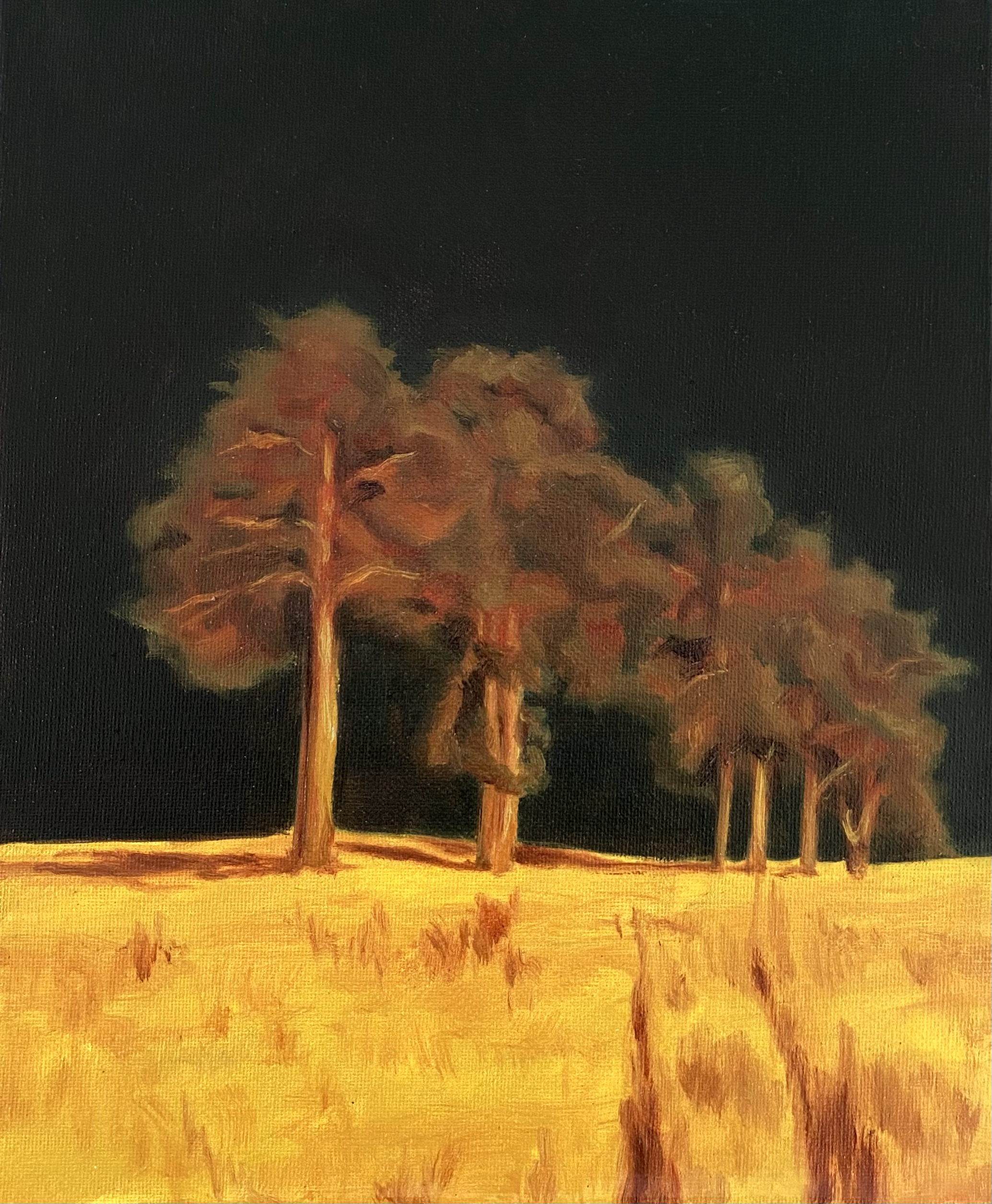 1EB38C4C-DC9D-4838-94A6-874D1D94290F.png