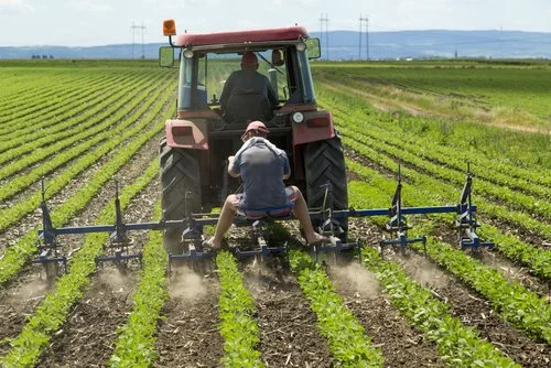 DAFF Strengthens Program Delivery