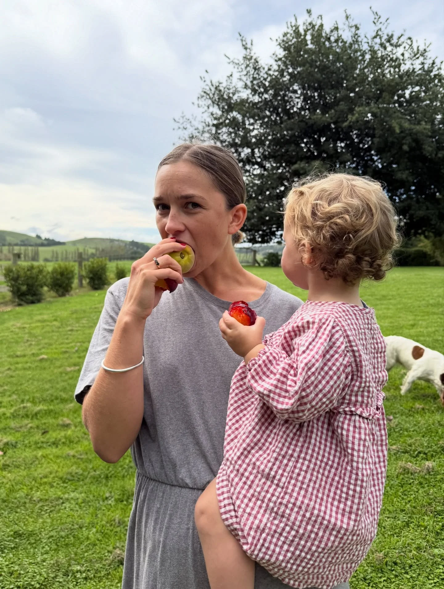 Filling my cup in and out of the kitchen 🍑🌻💃

- Picking plums with Hetti + Winnie
- BEST SNACK EVER = Miso Caramel Slice
- Celebrating one of our Raw Sisters getting married!!! 
- Moroccan Spiced Rice, Cauliflower + Herb Yoghurt 
- Prepping PB+J B