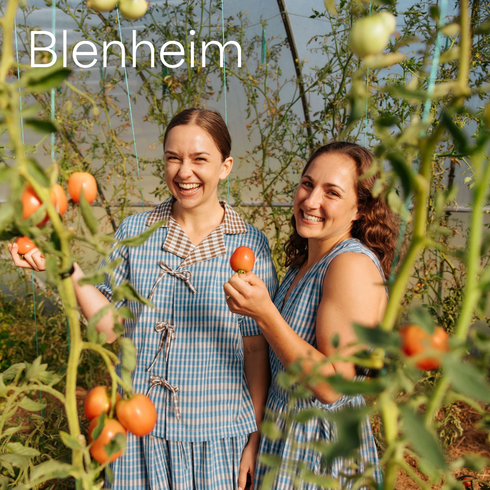 Be Intelligently Lazy – 25 February, Blenheim