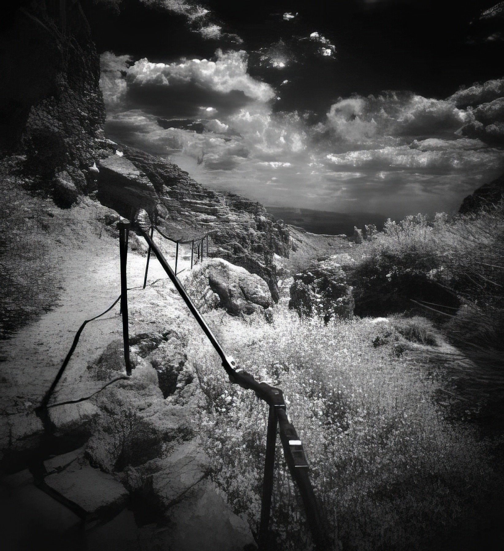 Ein Gedi #1