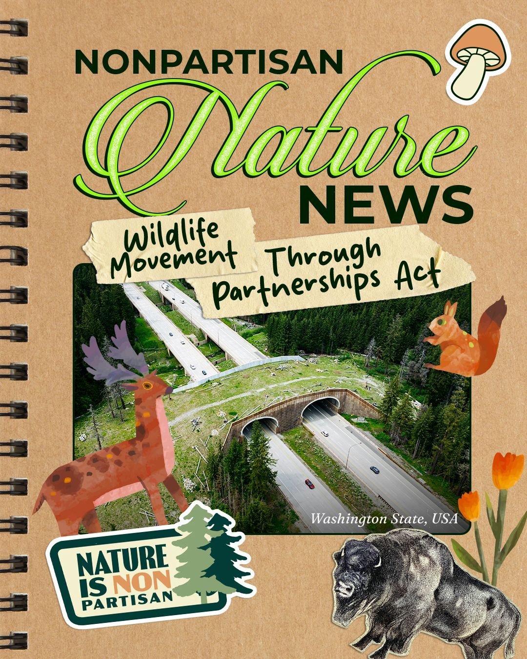 Wildlife doesn't see property lines &mdash; but roads, fences, and development can stop them in their tracks.
The Wildlife Movement Through Partnerships Act (H.R. 717) is a bipartisan, common-sense effort to protect the migration routes that elk, mul