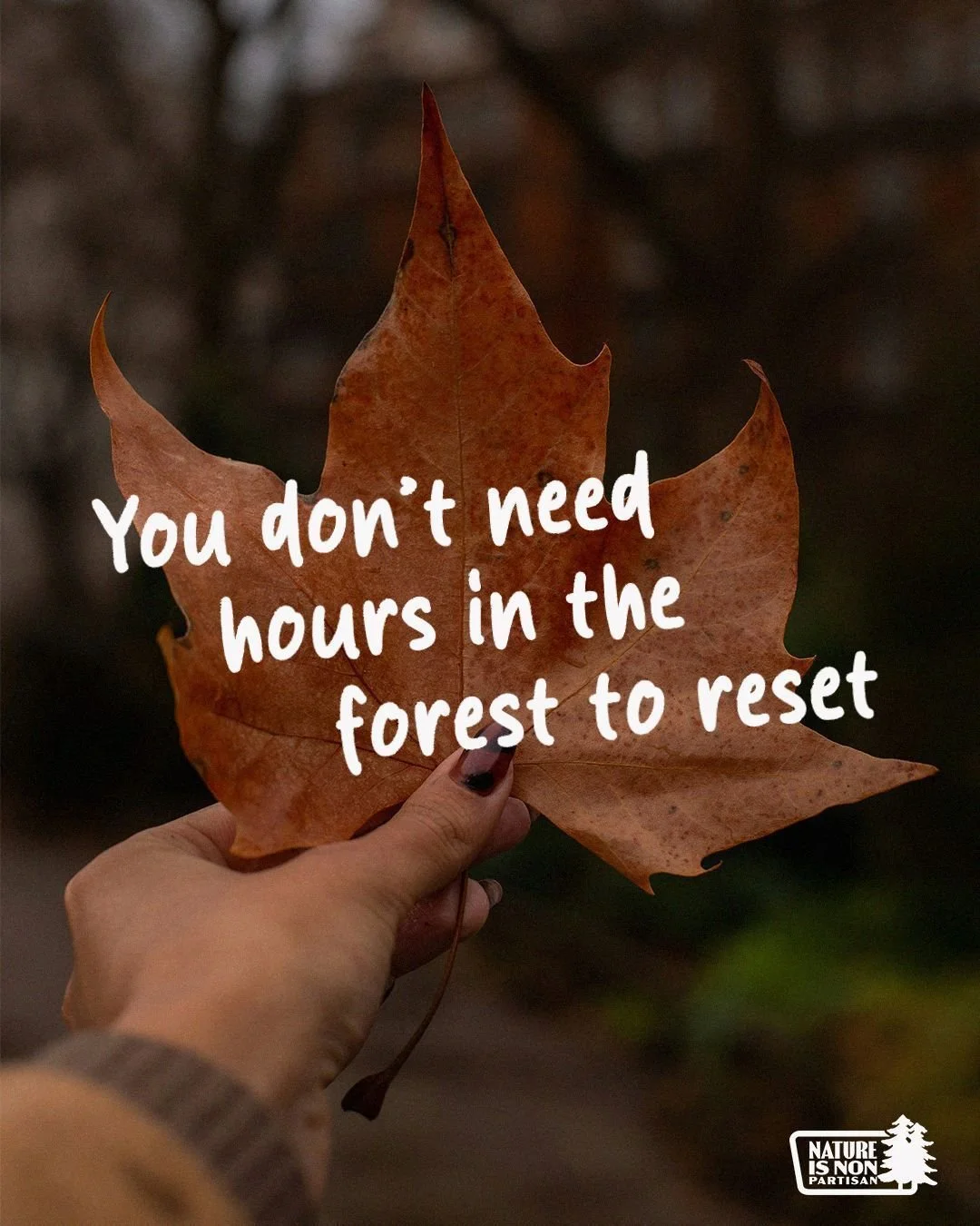 Even the smallest dose of nature can shift your mood.
What&rsquo;s your favorite quick reset? 🍂

#NatureIsNonPartisan #Nature #Conservation #Bipartisanship #Environment #SocialMediaBreak #Reset