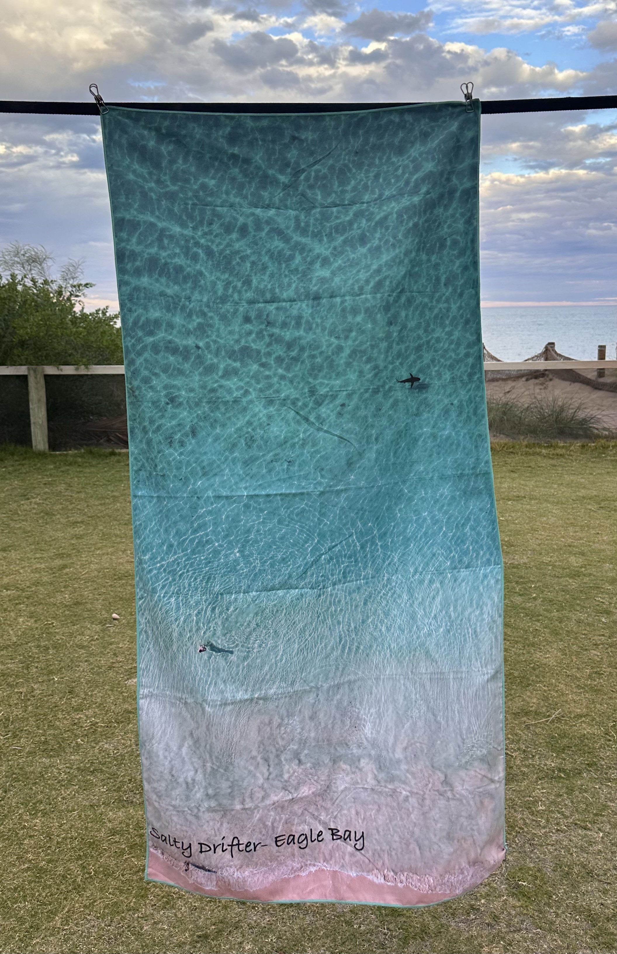 Eagle Bay Shark