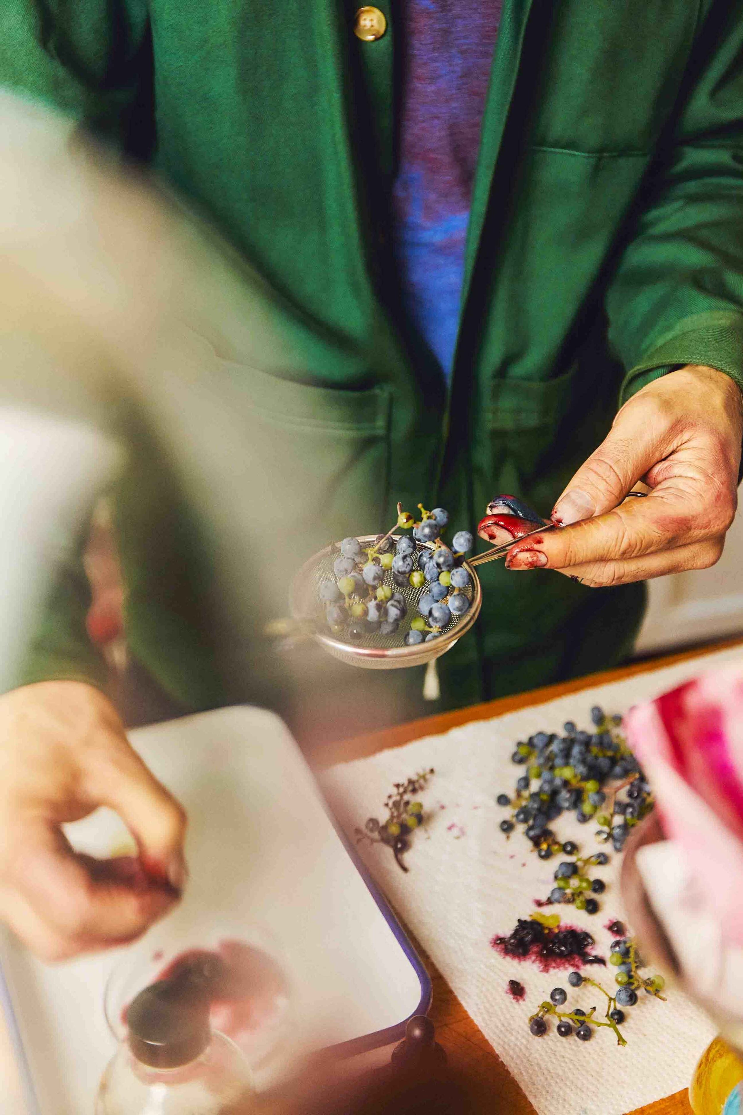 2_Jason-Logan-working-with-berries-to-create-a-color-pigment-1@2x.jpeg