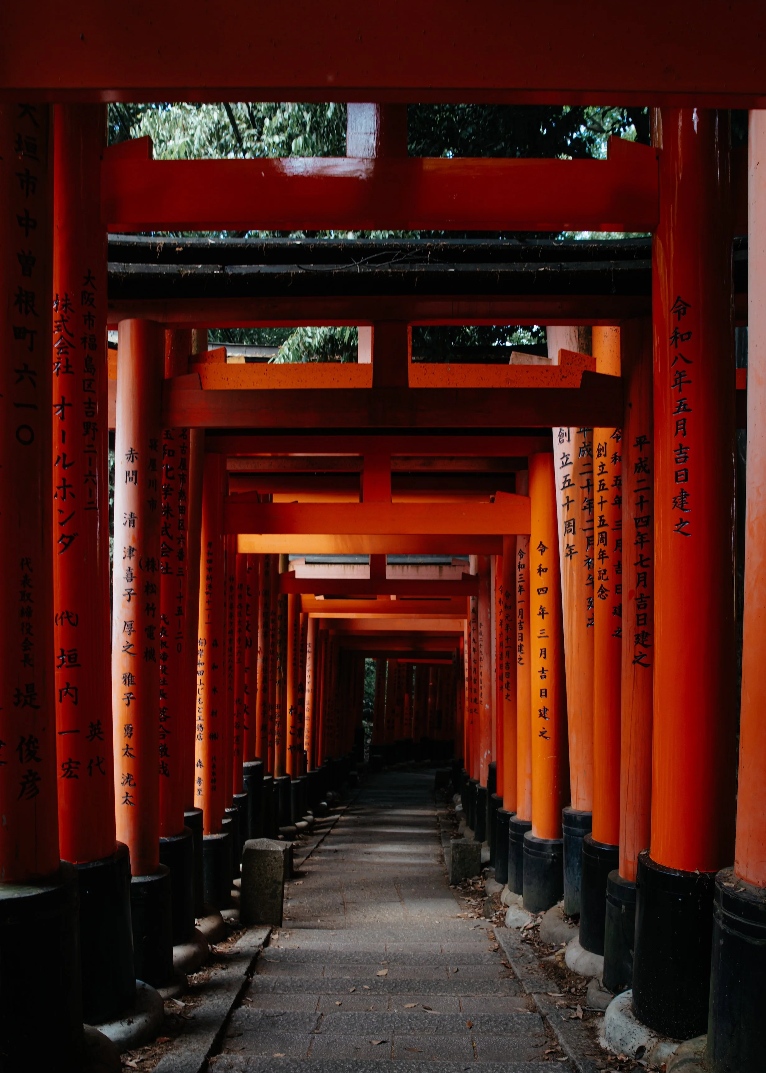 Stone path receding through a dense tunnel of vermilion torii gates at Fushimi Inari Taisha, Kyoto, black donor inscriptions running down each pillar, dappled green foliage visible between the gates.