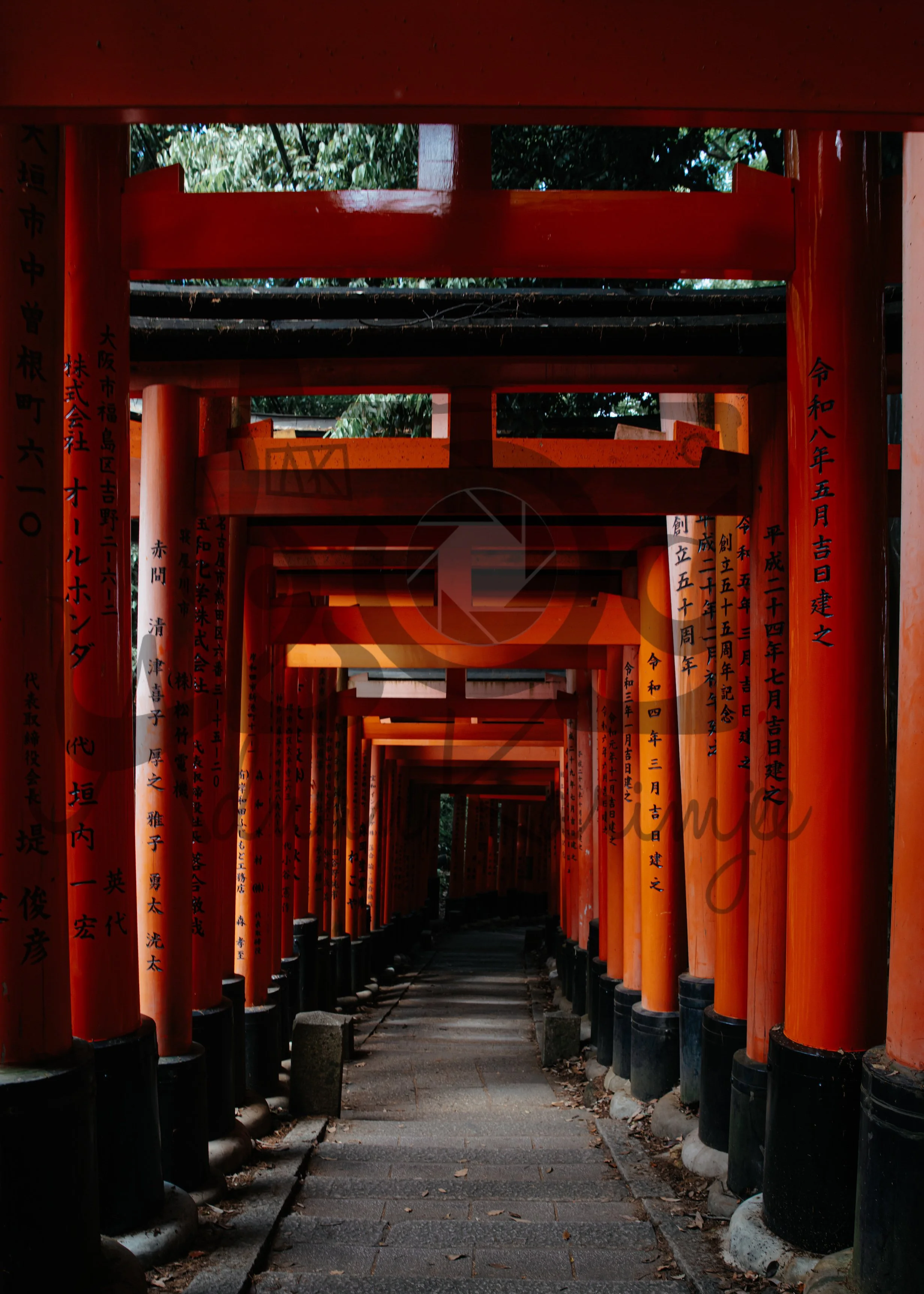 The Long Way Through