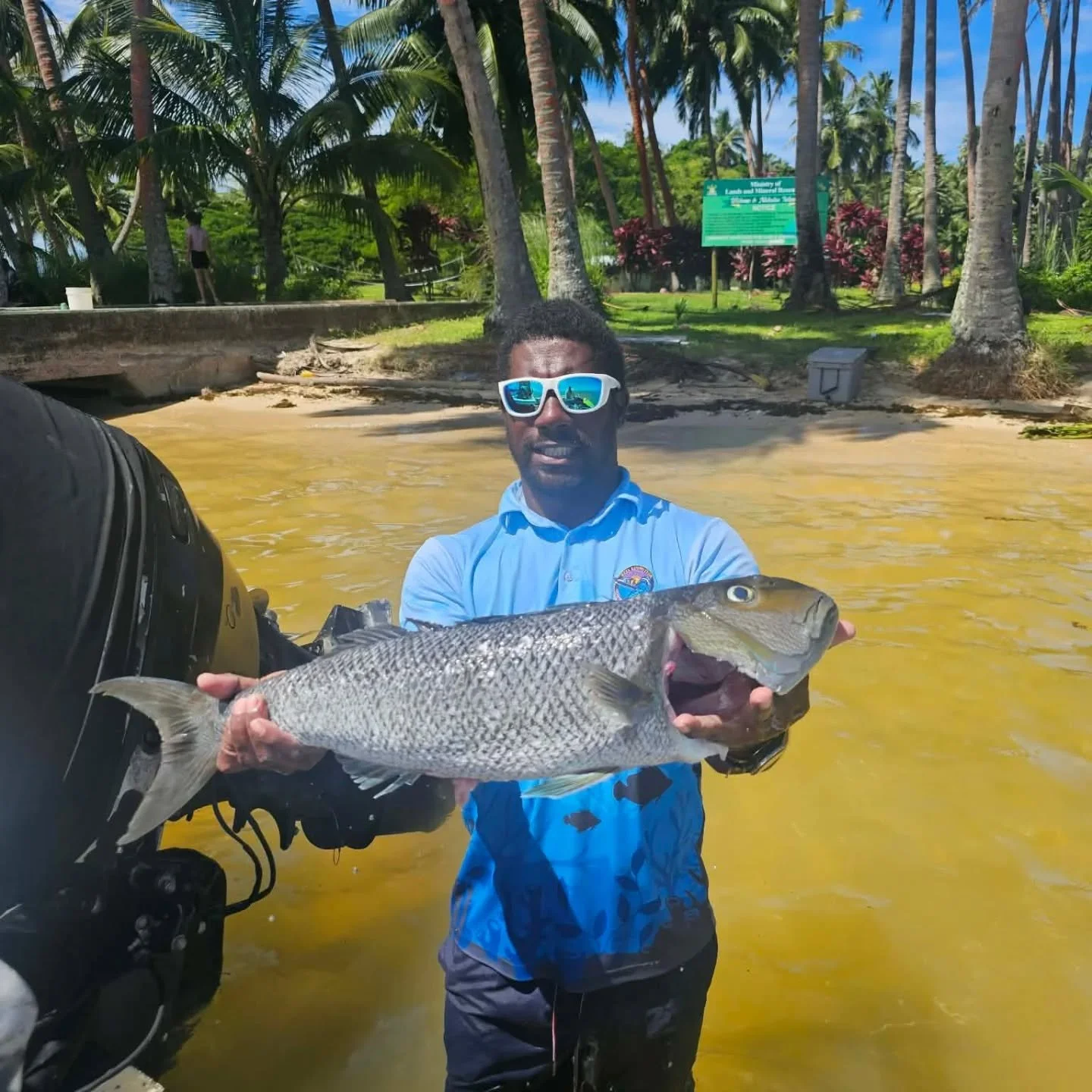 Nice green job fish for the guests and some fijian cooking 🎣 🌞 🏝 
.
.
.
#freshfood #seafood #accuratefishing #islandlife #cleanoceans