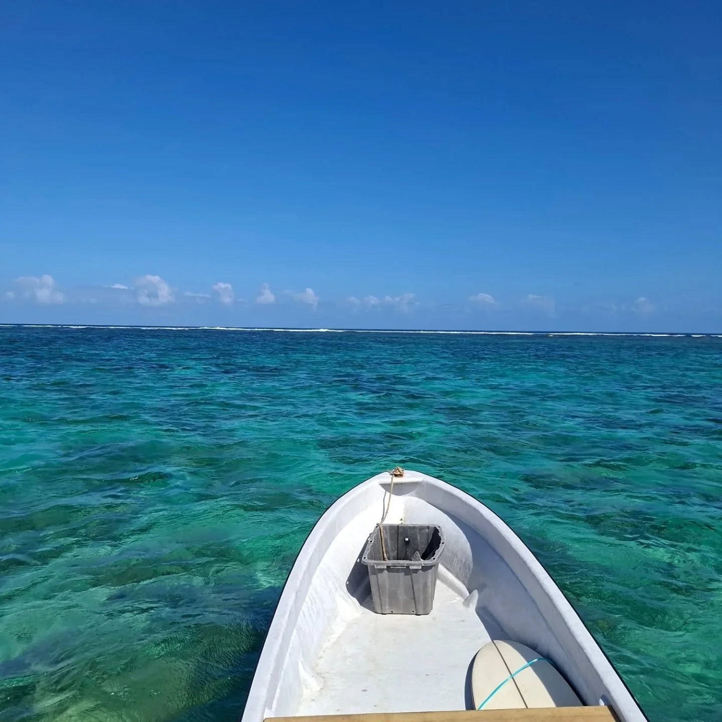 A quick afternoon surf and snorkel what a beauty of a day 🌞 🌊 👓 
.
.
.
#cleanoceans #snorkling #coralreef #fijiislands #fijitourism