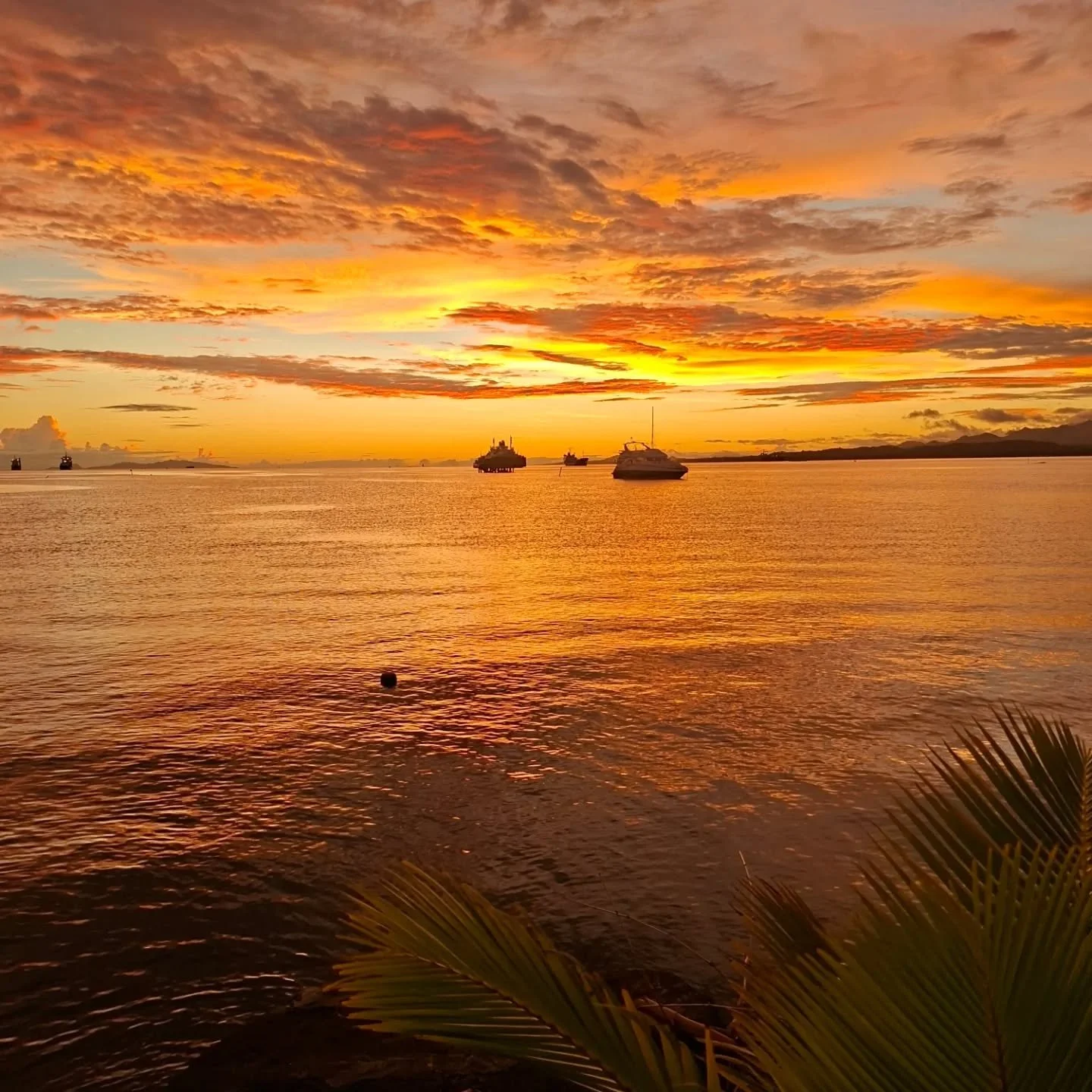 When Suva turns it up at sunset, its not always raining! 🌅🌴🍺
.
.
.
#sunsetvibes #suvabeauty #suvabeauty #cleanoceans #royalsuvayachtclub