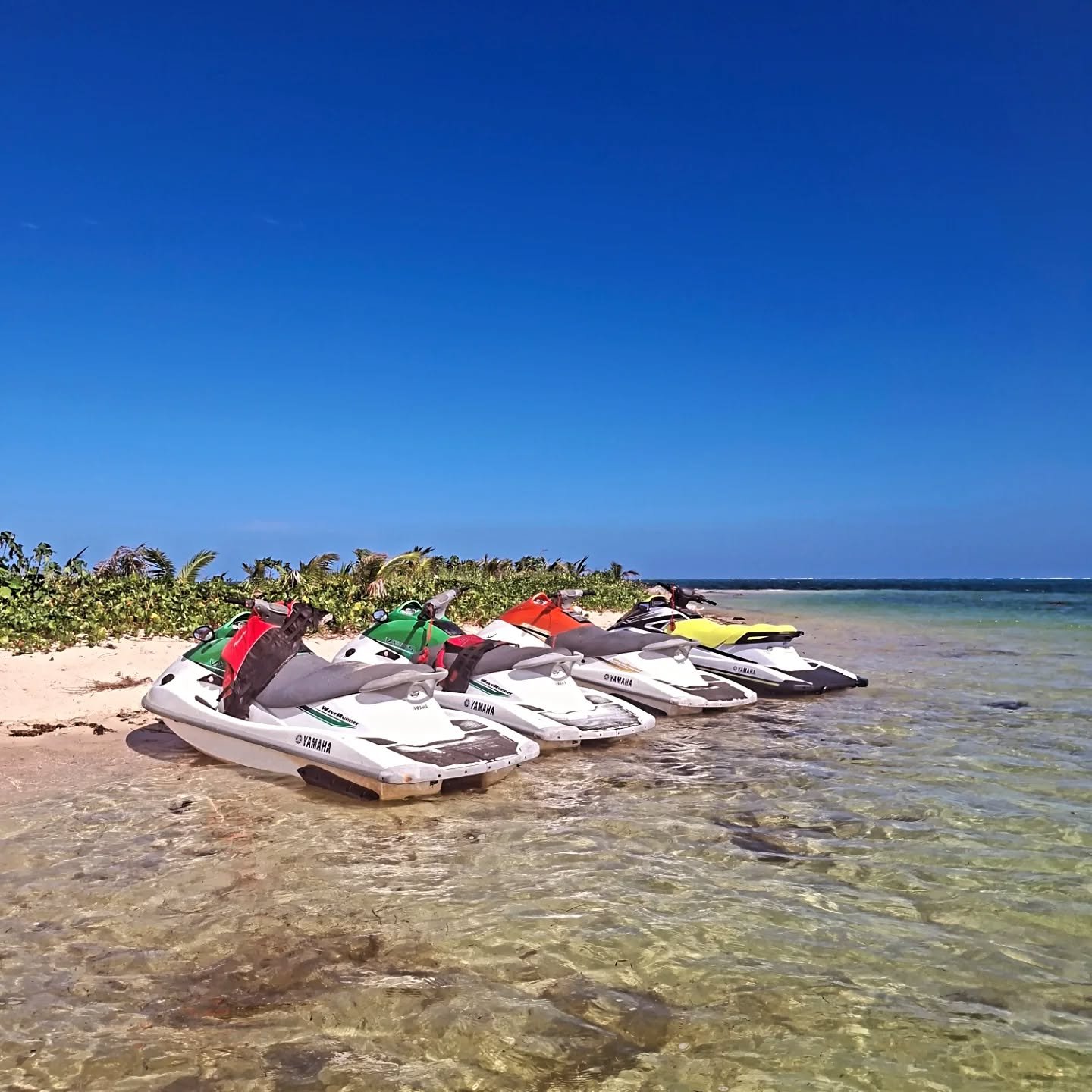 Reel Addiction Jetski Safari now open, call us now for a thrilling 3 hour safari, snorkeling, 3 Island visits, lunch and refreshments.... 🌞 🏝 🤙
.
.
.
#fijiislands #fijitourism #suvabeauty #cleanoceans #jetski #jetskilife #reel_fj #waverunners