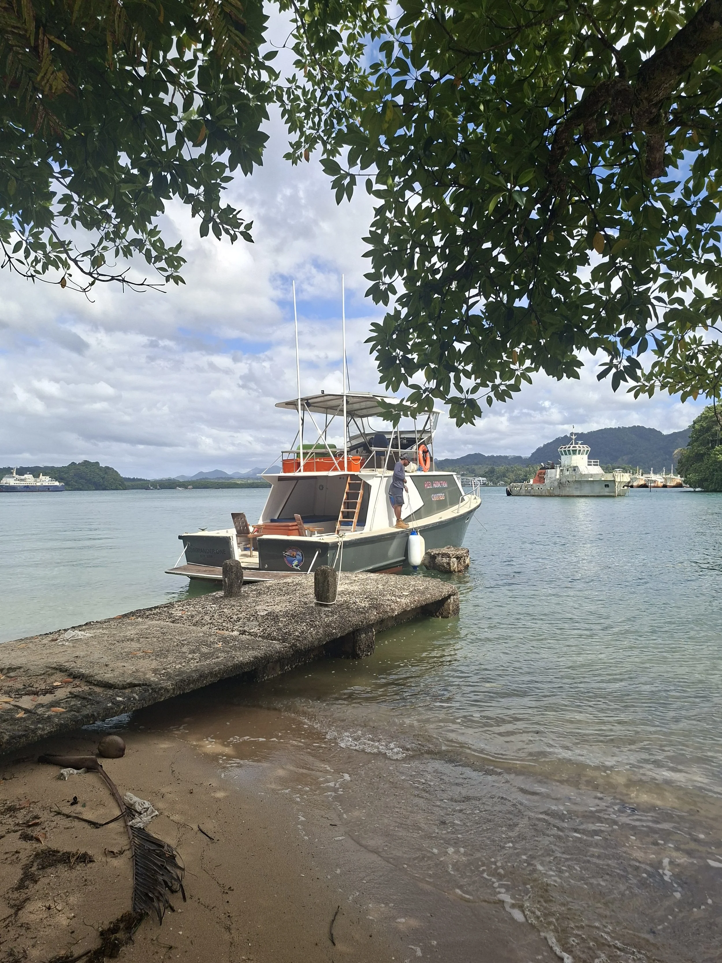 Mosquito island .jpg