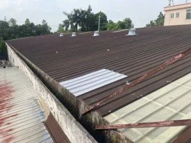 NeOCOAT GZYL Test Coated Area Outside.jpg