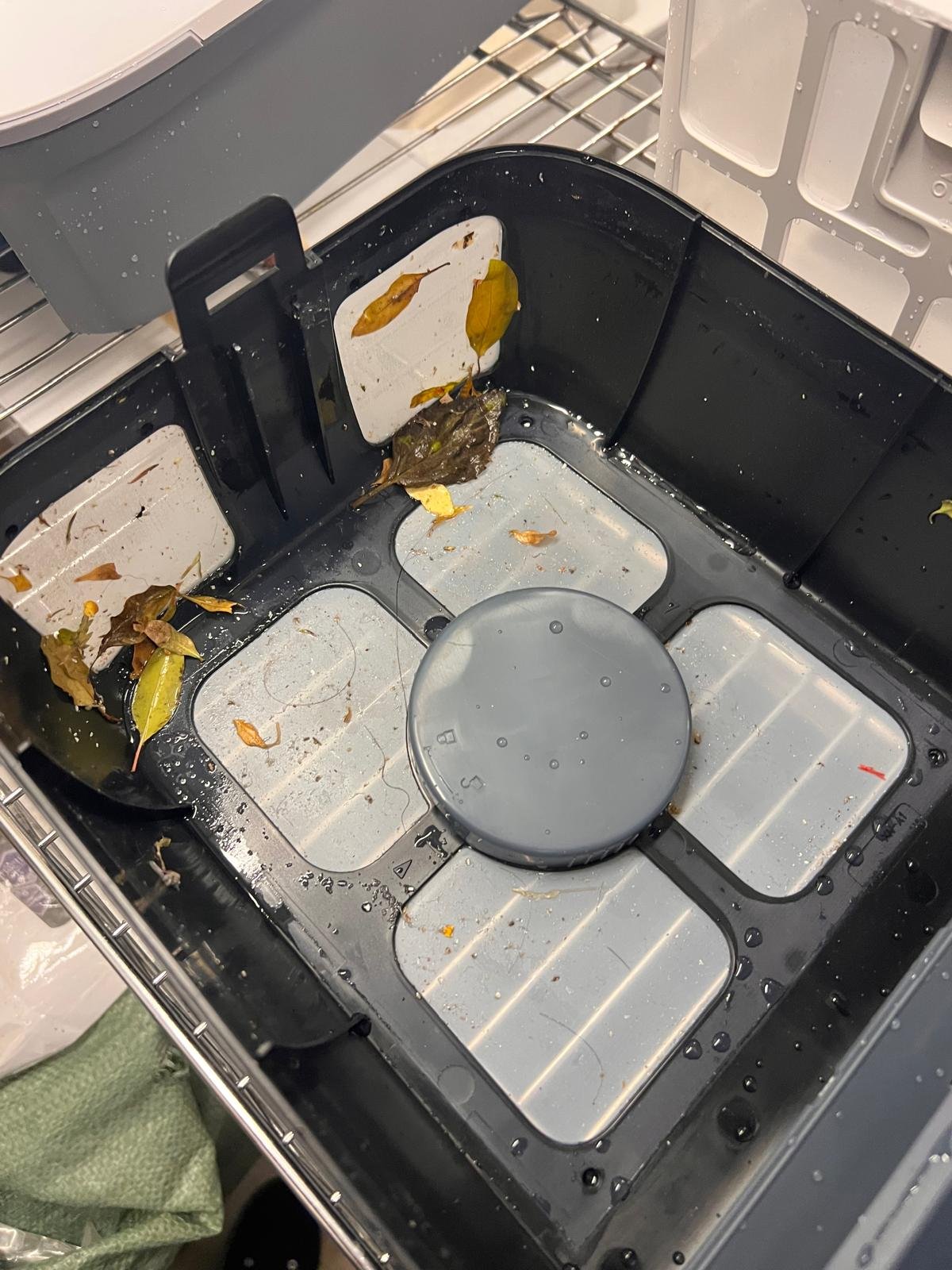 Airrobo_Demo2.jpeg
