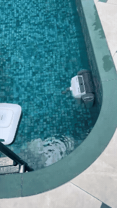 Elevate Your Pool Maintenance Today 🏊‍♂️