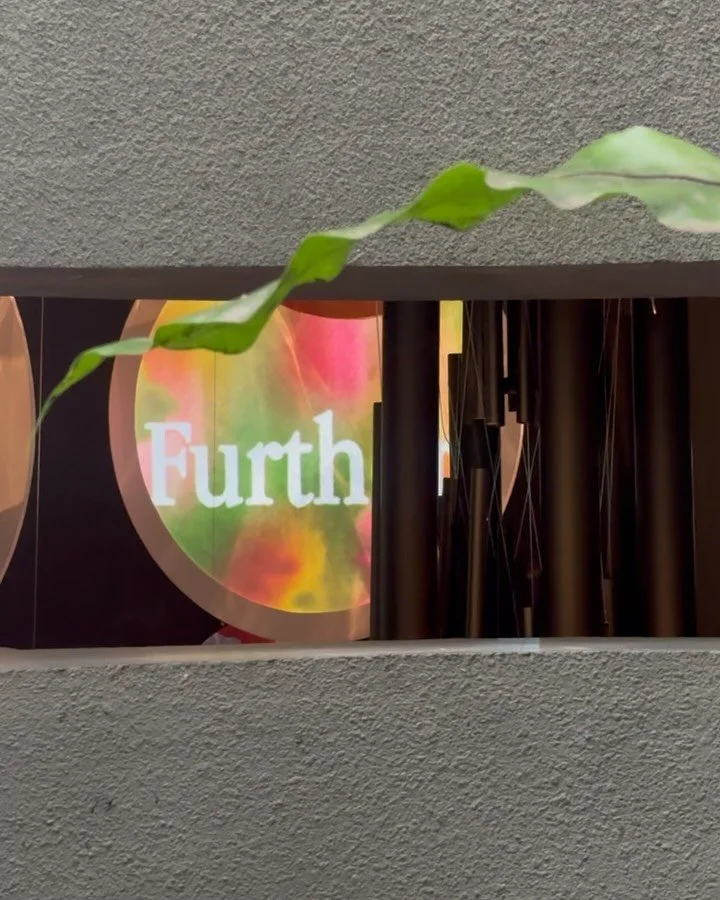 When a menu evolves, the space should evolve with it. For Locavore NXT&rsquo;s new chapter, The Source, we developed an art space installation, collaborating with a few artists and technologists, that extends the narrative beyond the plate. Layered t