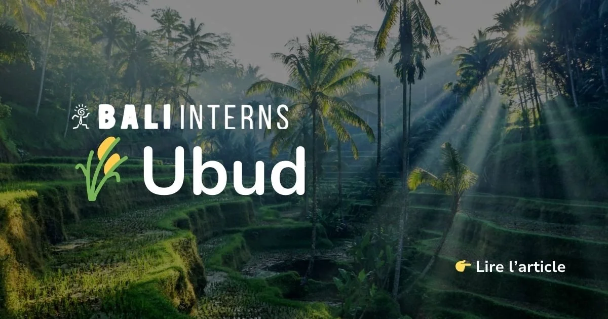 Ubud : le cœur culturel et spirituel de Bali