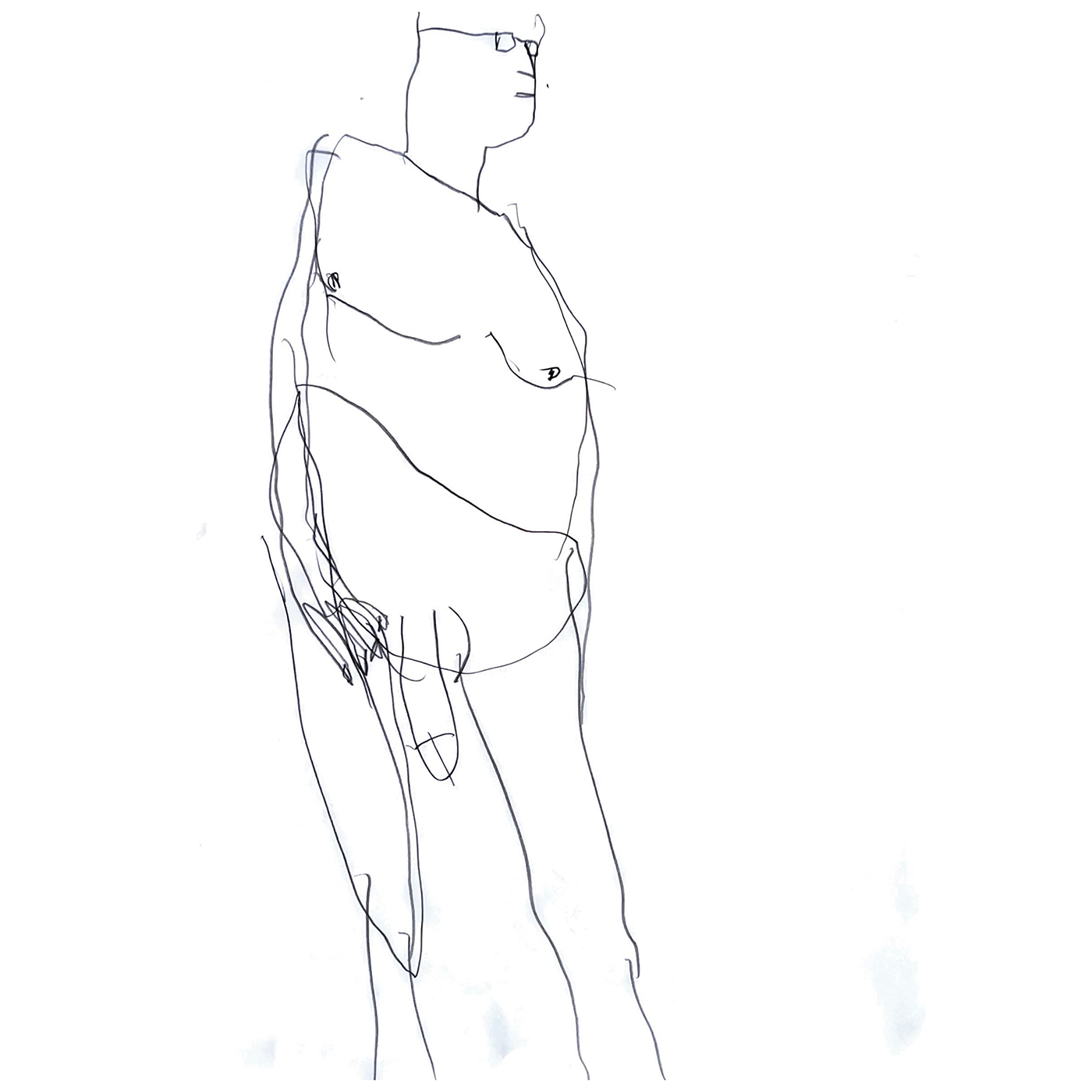 AVV.png