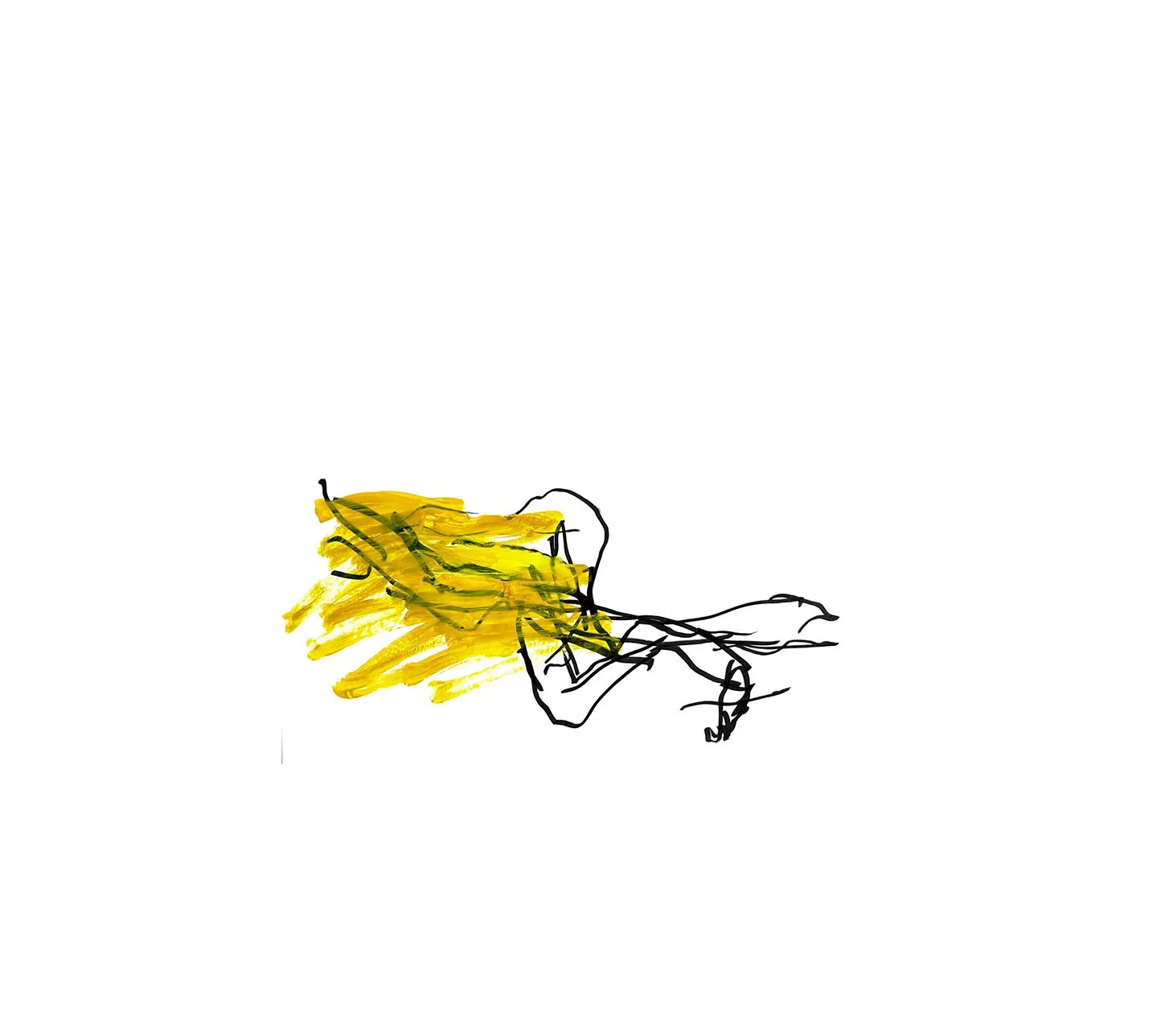 44.jpg