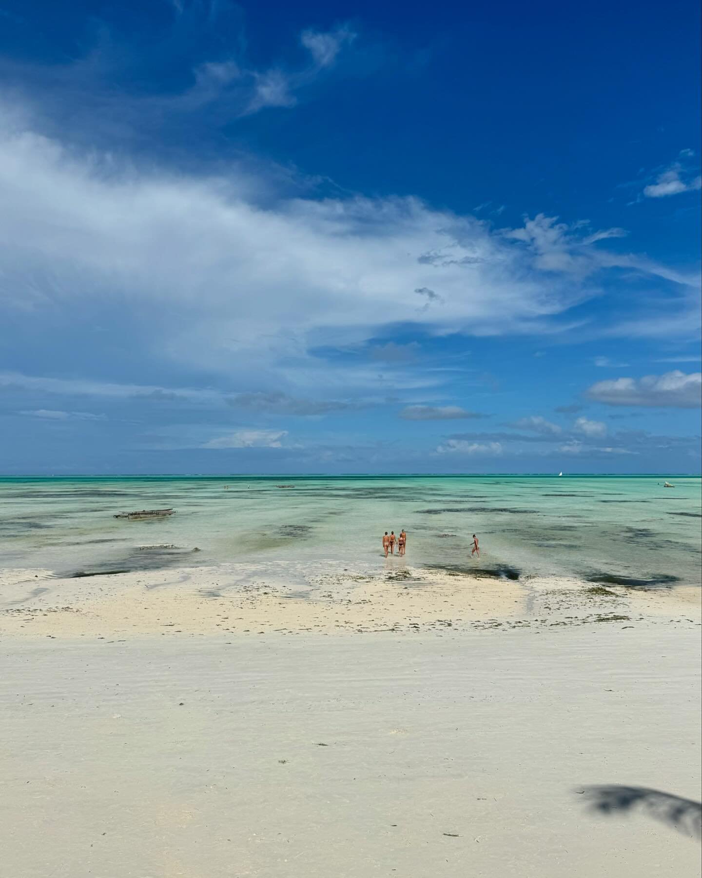 MAGISKE ZANZIBAR🌴🫶🏽 Tiden flyver afsted under palmerne og &aring;rets sidste hold fylder villaen og &oslash;en med god energi, store smil og varme hjerter. 

Vi er blevet rystet godt sammen, l&aelig;rt landsbyen at kende, v&aelig;ret &aelig;gte tu