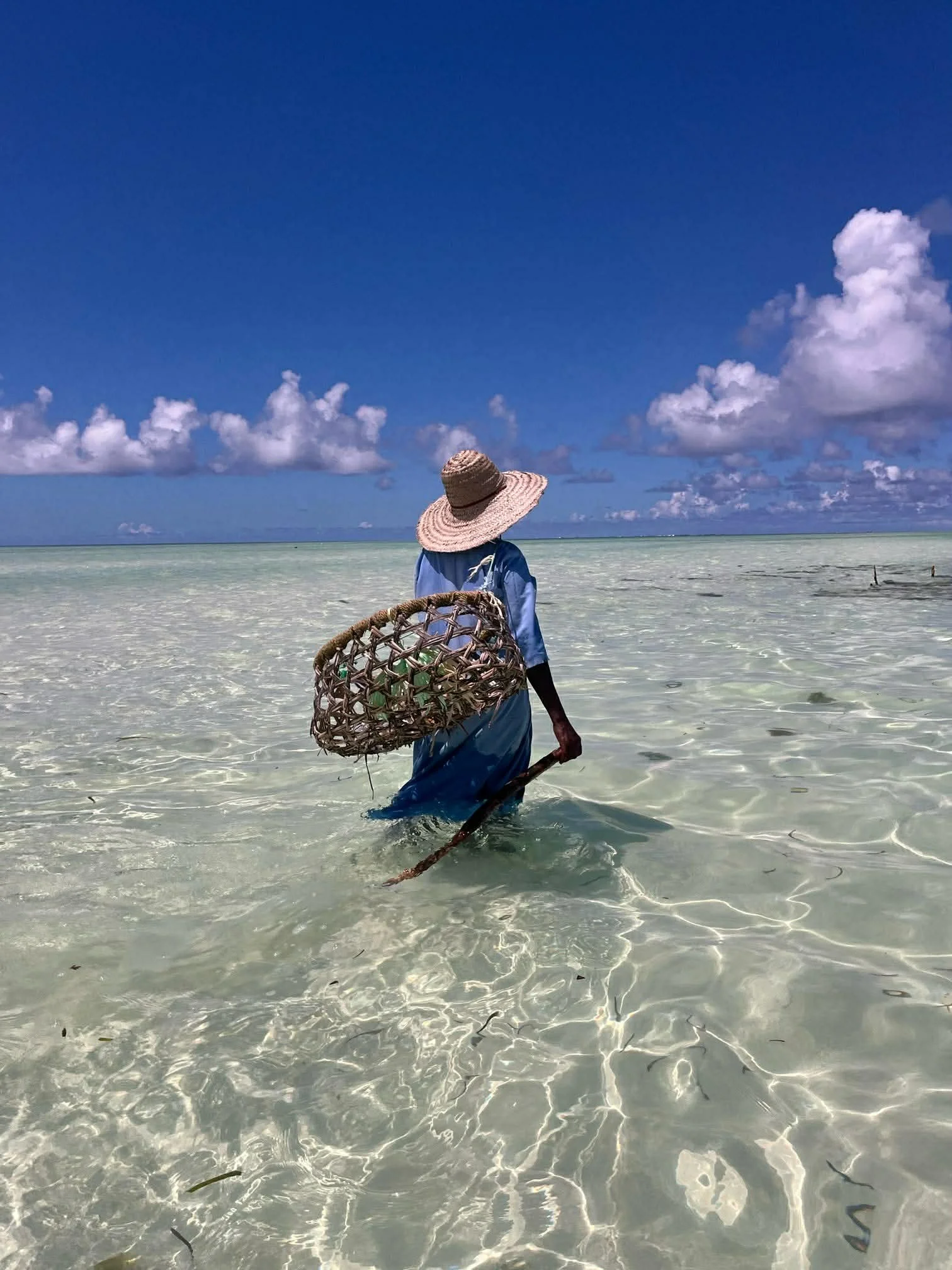zanzibar gilling explorer grupperejser for unge sabbatår.jpeg