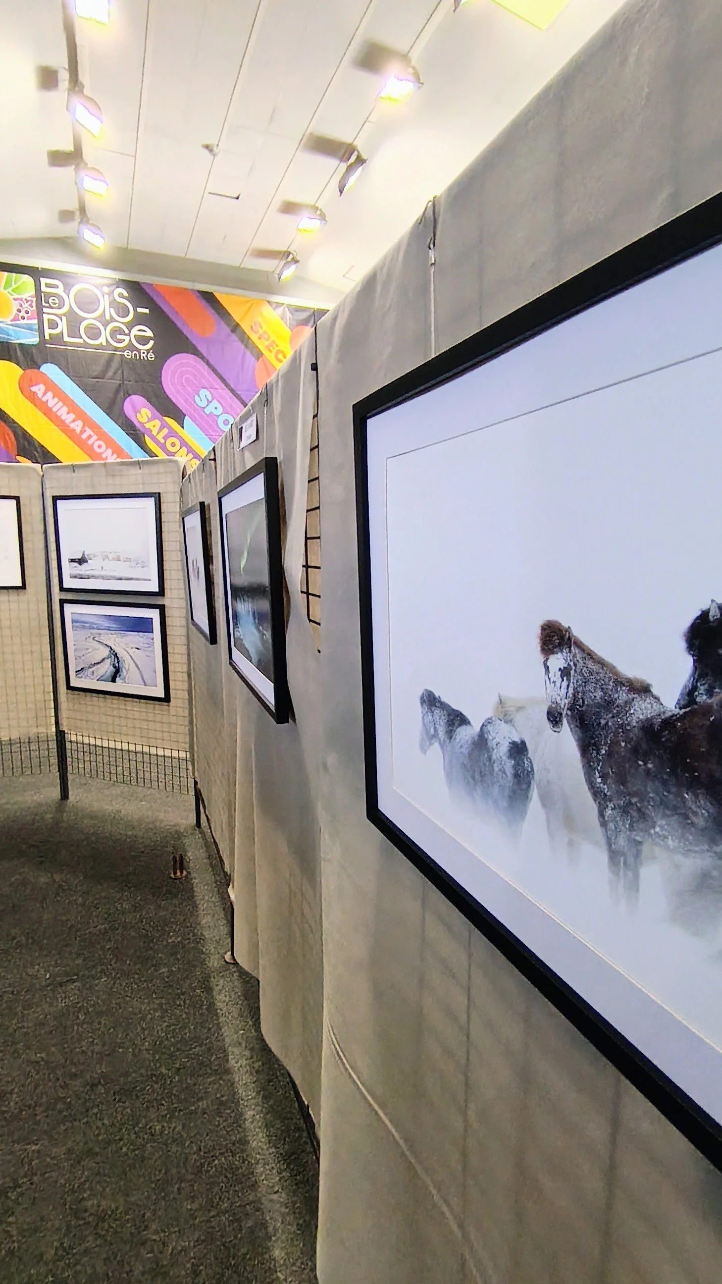 Exposition photographique avec plusieurs écrans affichant des images de chevaux et d'autres paysages, dans un espace intérieur avec un mur en tissus beige et un panneau en arrière-plan à motifs colorés.