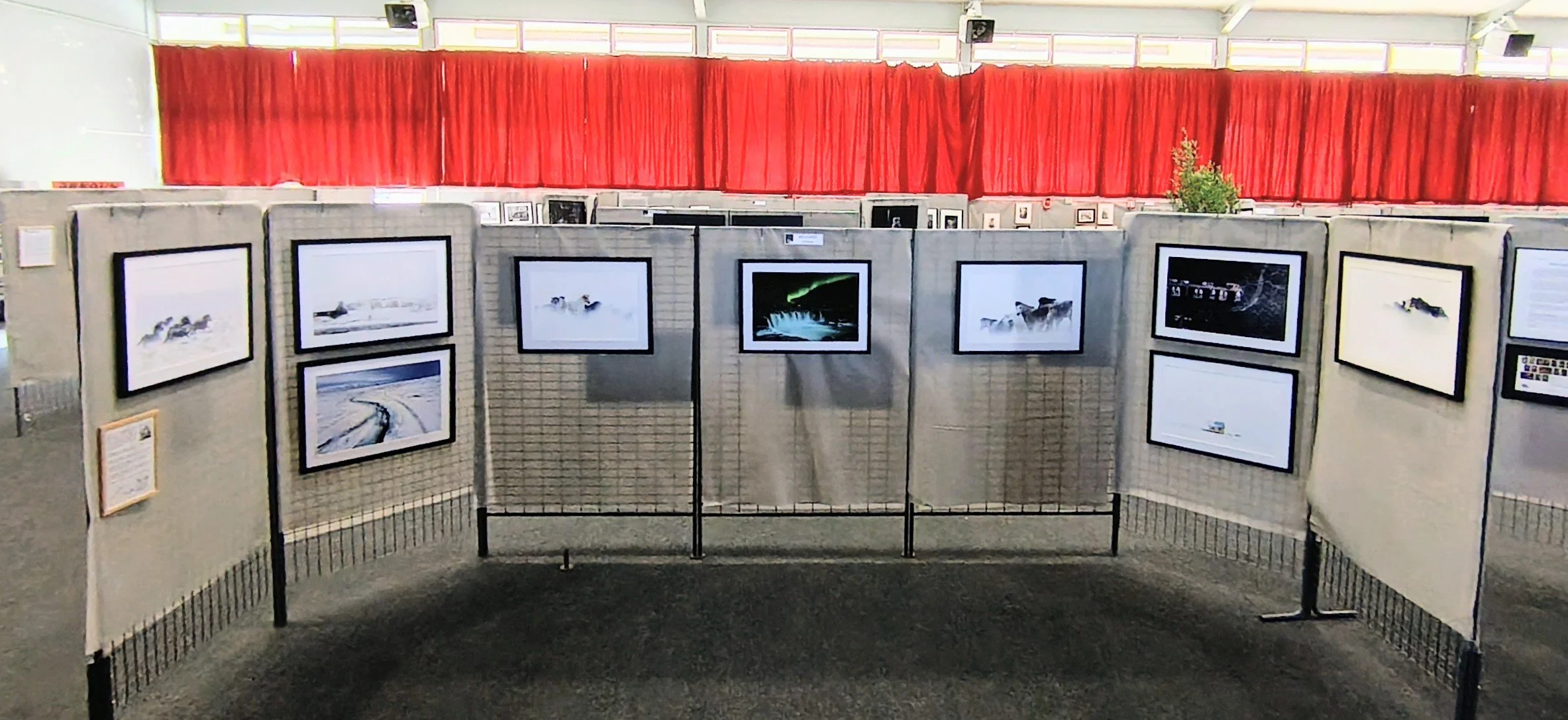 Exposition photographique avec des images encadrées de paysages naturels, principalement de l'eau et des saisons, affichées sur des panneaux en tissu gris dans une salle avec rideaux rouges en arrière-plan.