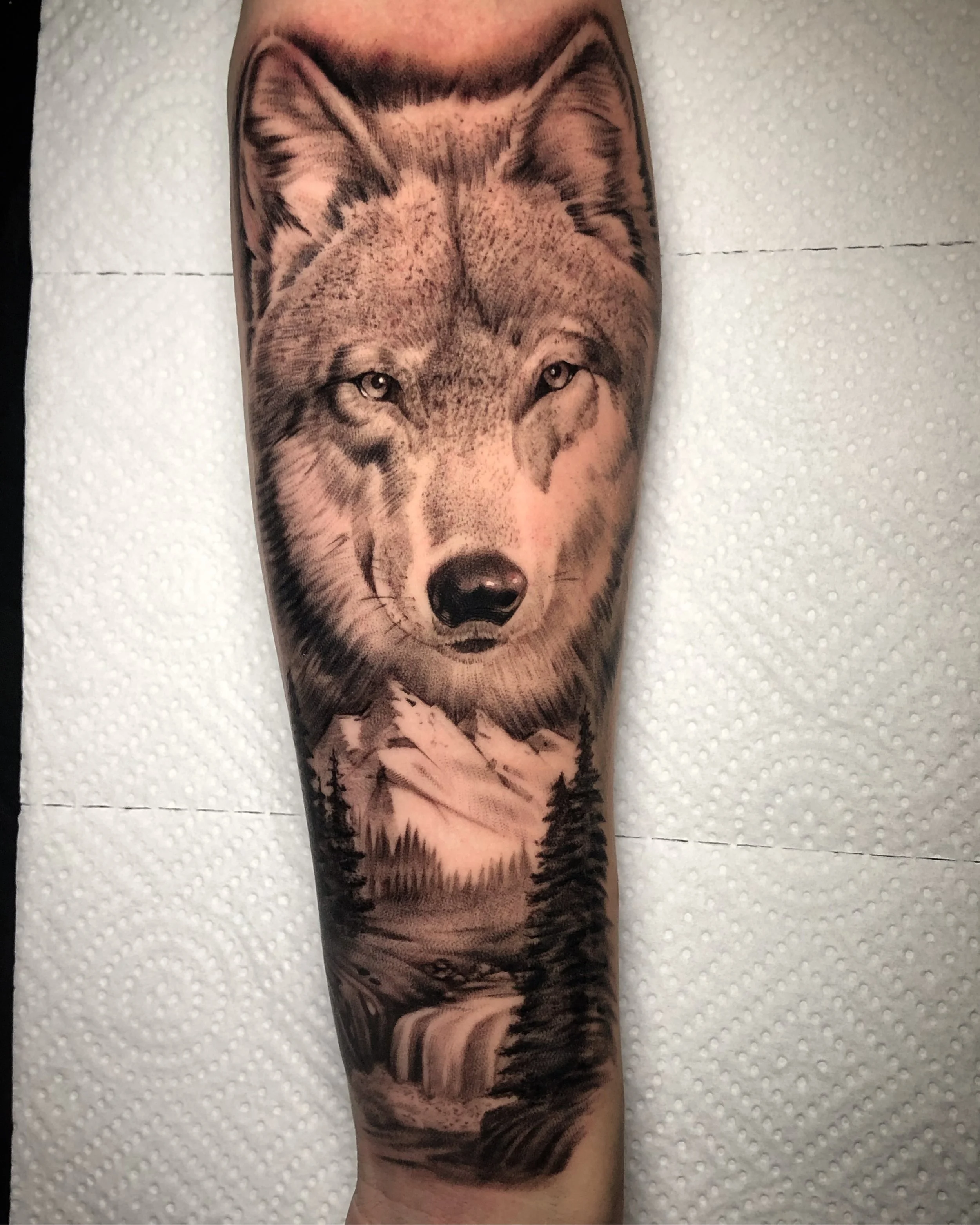 Realistic wolf portrait tattoo above a forest landscape by Nicklas Wong, tattoo artist in Northcote, Melbourne