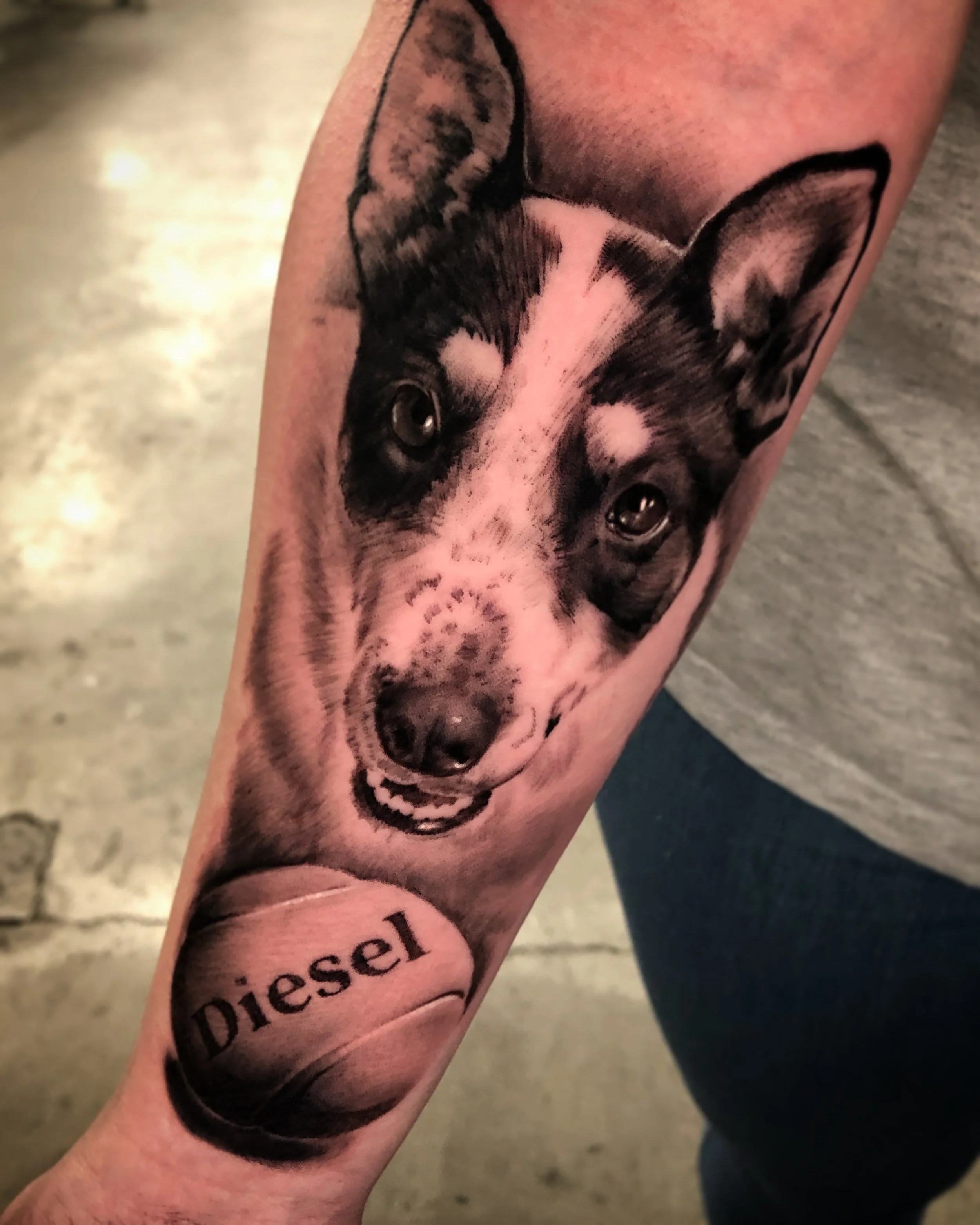 Realistic black and grey dog portrait tattoo with a named ball below by Nicklas Wong, tattoo artist in Northcote, Melbourne