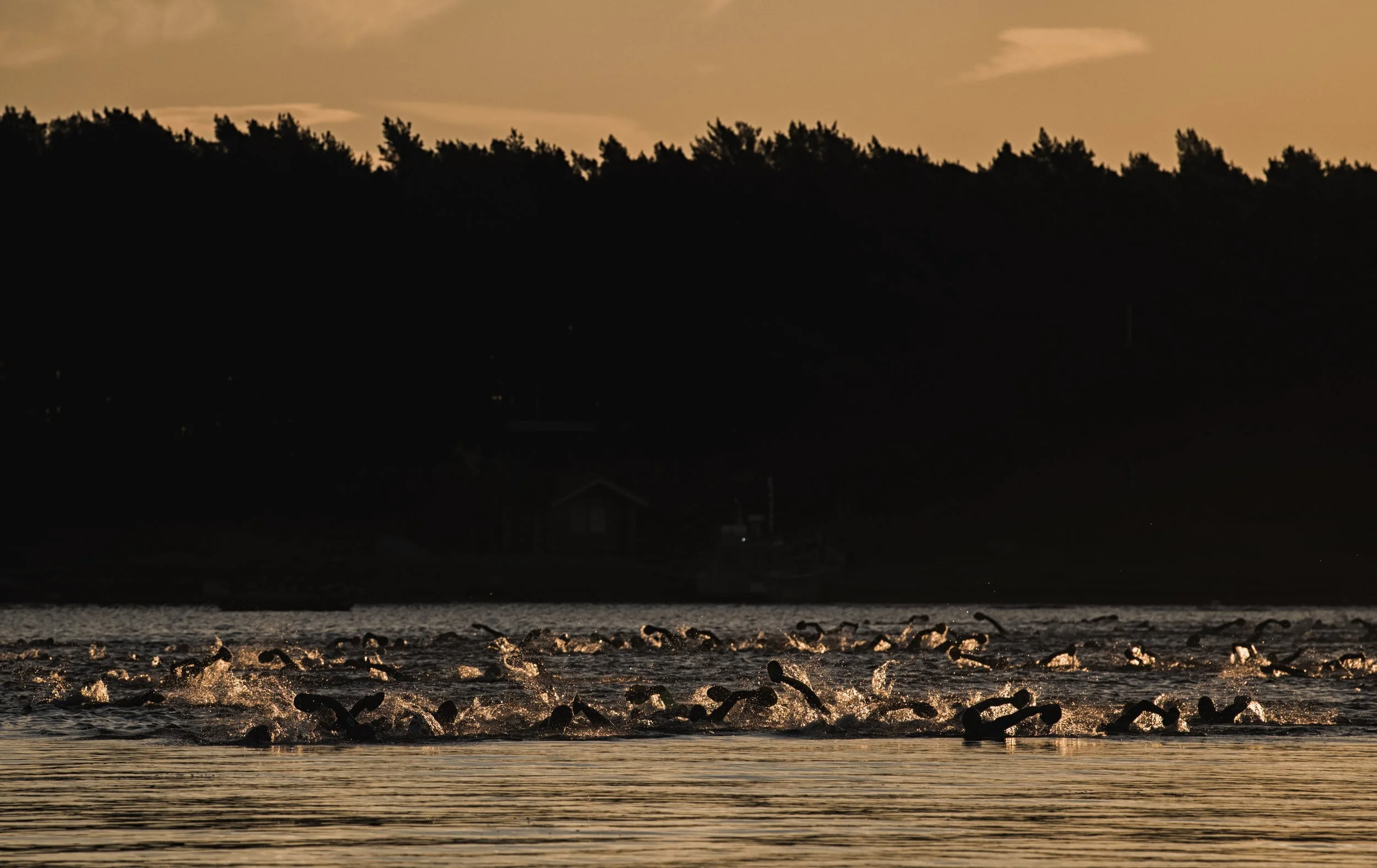 SWEDEN- STOCKHOLM ARCHAPELAGO- OTILLO Swimrun race - 2018 - SWIMRUN.JPG