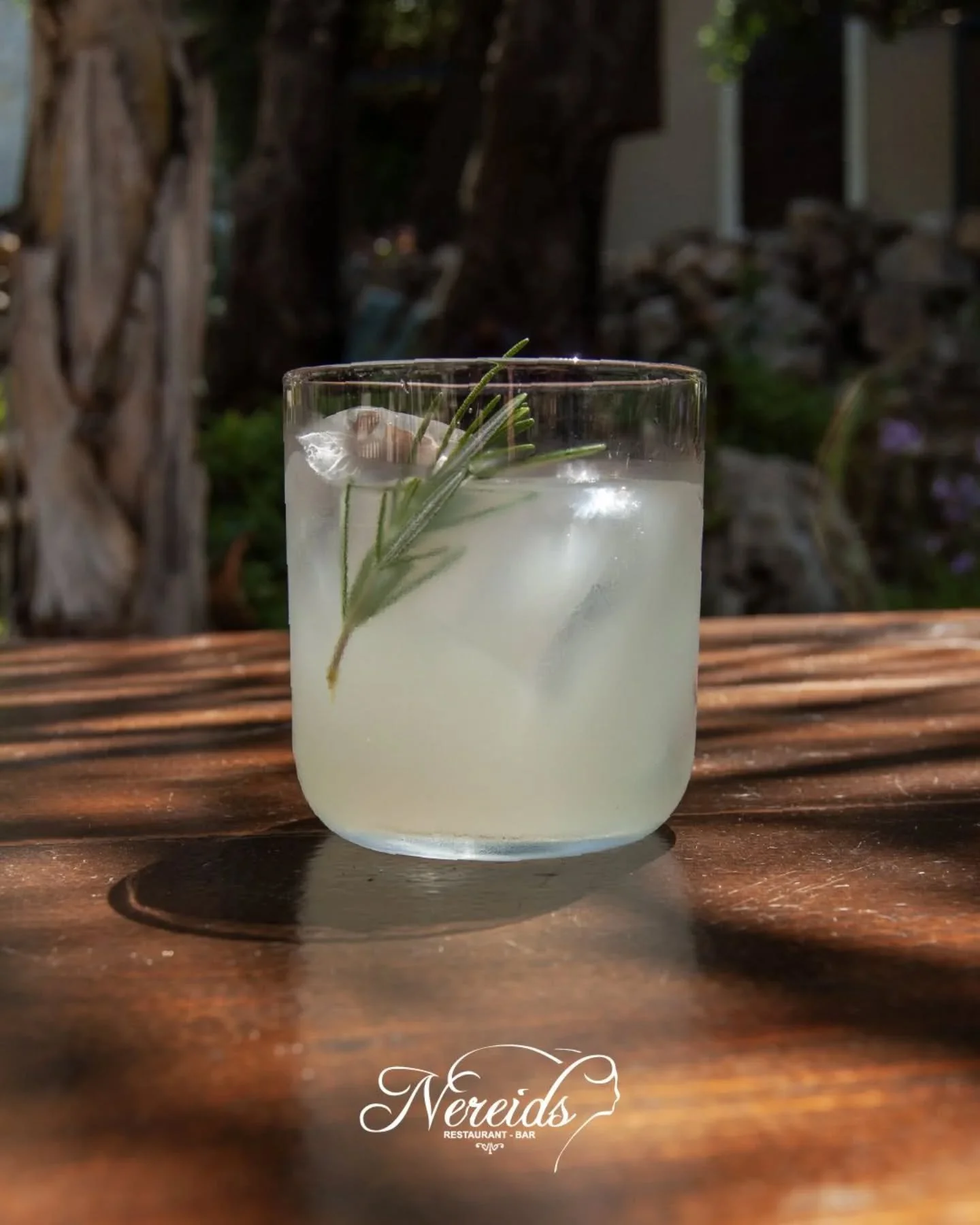 🍸 Have you tried our Rosemary garden?

Join us tonight and discover your new favourite cocktail!

📍Paleokastritsa, Corfu
Reservations⤵️ https://nereids.restaurant/reservations

#nereidsrestaurantandbar #nereidscorfu #gardenrestaurant #cocktails #ro
