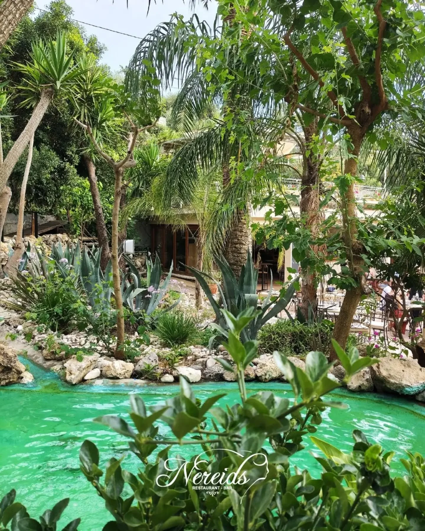 🌿 A little piece of paradise. 

📍Paleokastritsa, Corfu
Reservations⤵️ https://nereids.restaurant/reservations

#nereidsrestaurantandbar #nereidscorfu #gardenrestaurant #mediterraneancuisine #summerincorfu