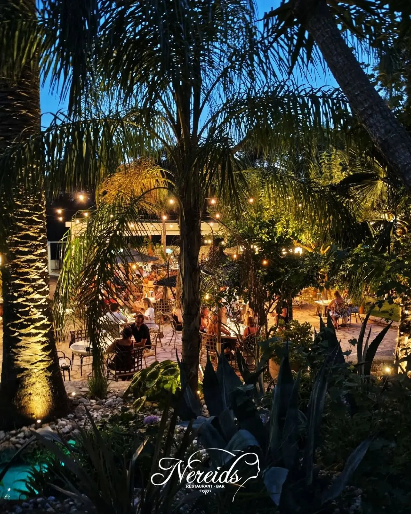 September nights. 💫

📍Paleokastritsa, Corfu
Reservations⤵️ https://nereids.restaurant/reservations

#nereidsrestaurantandbar #nereidscorfu #september #gardenrestaurant #summerincorfu