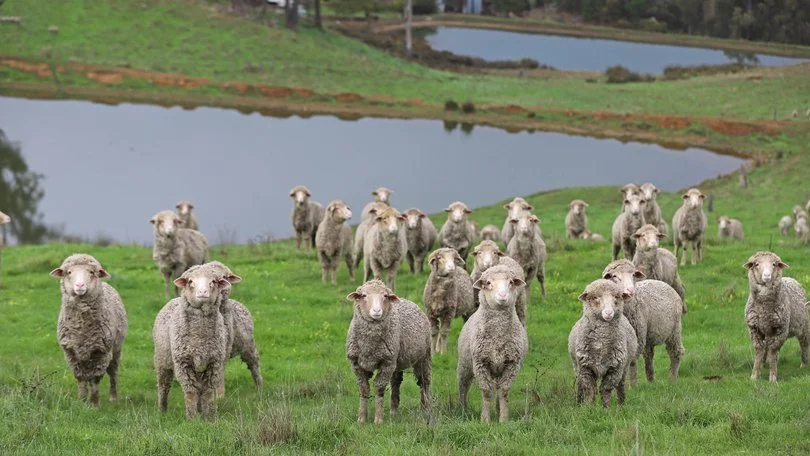 Description of farmers as “exploiters” labelled offensive and disgusting