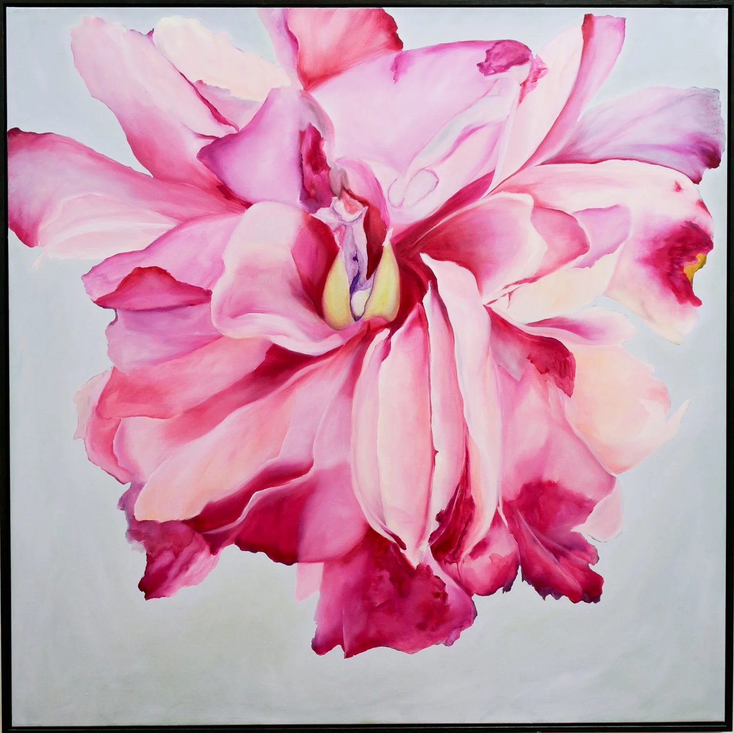 peony 120x120cm Oil on Canvas $4900
