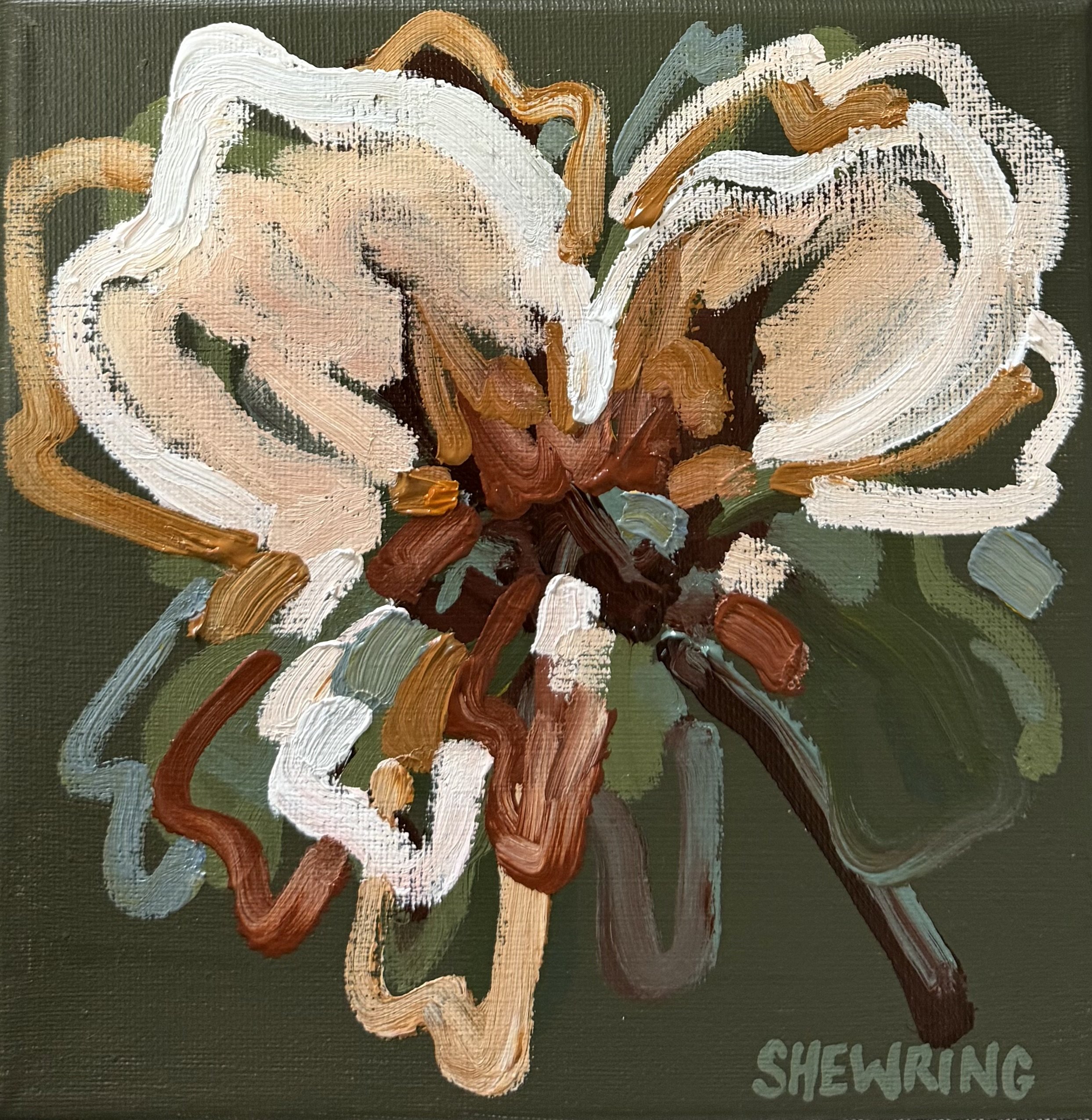 Caramel Blossom 2026 Jen Shewring 20 x 20 cm acrylic on canvas.jpeg