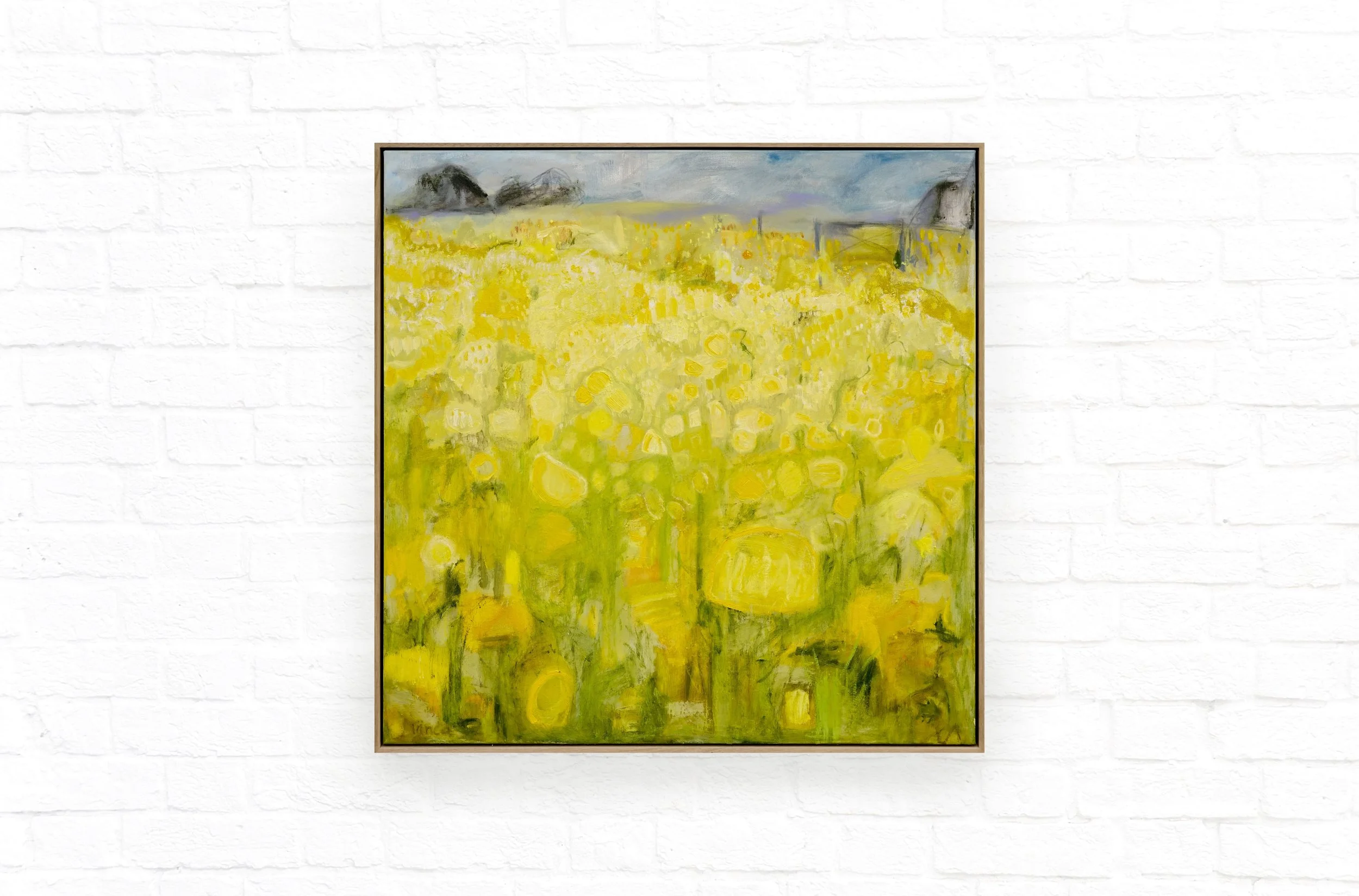 Rebecca Trinca Fields of Gold H1.02 x L1.02m Oil and Graphite on Canvas $3850.00