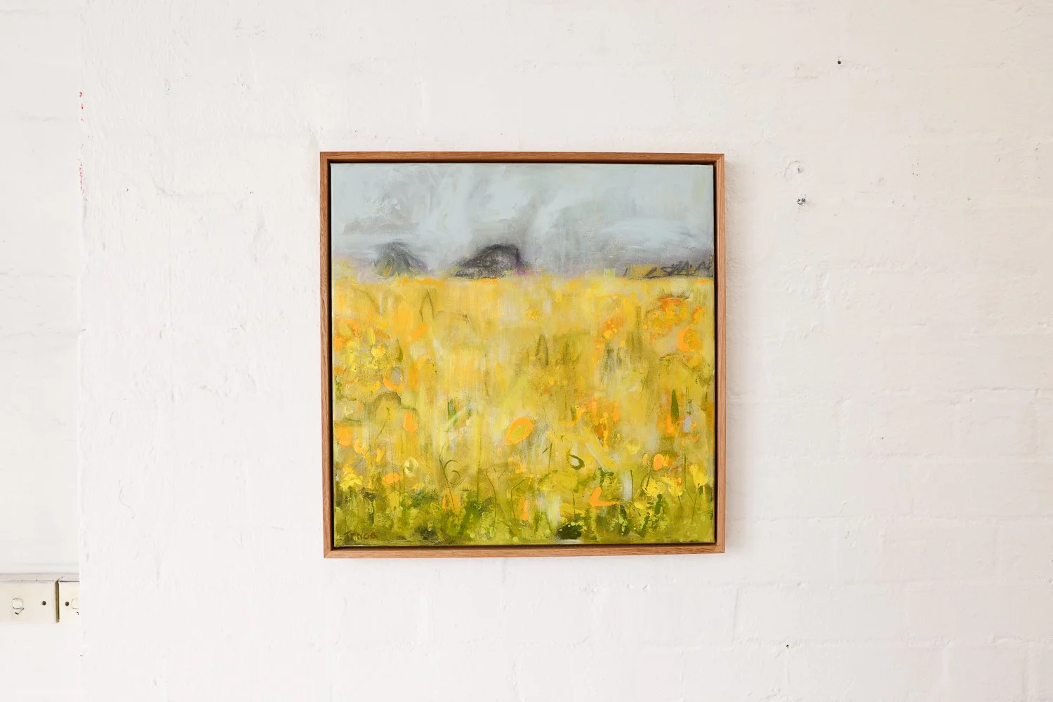 Fields Alight  H50 x 50cm Acrylic and Graphite on Canvas $1850.00  SOLD