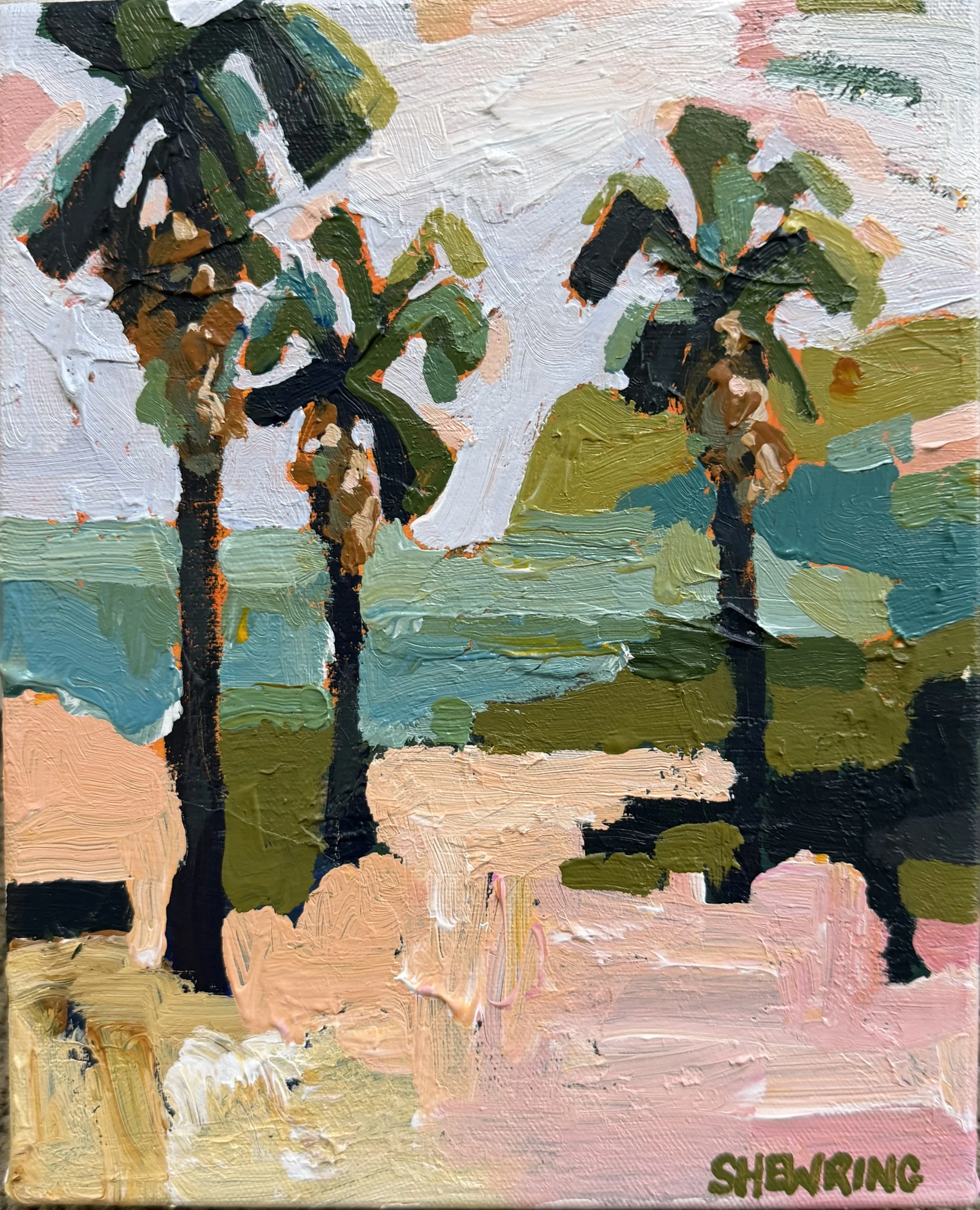 Sunlit Palms 2026 Jen Shewring 25 x 20 cm acrylic on canvas.jpeg